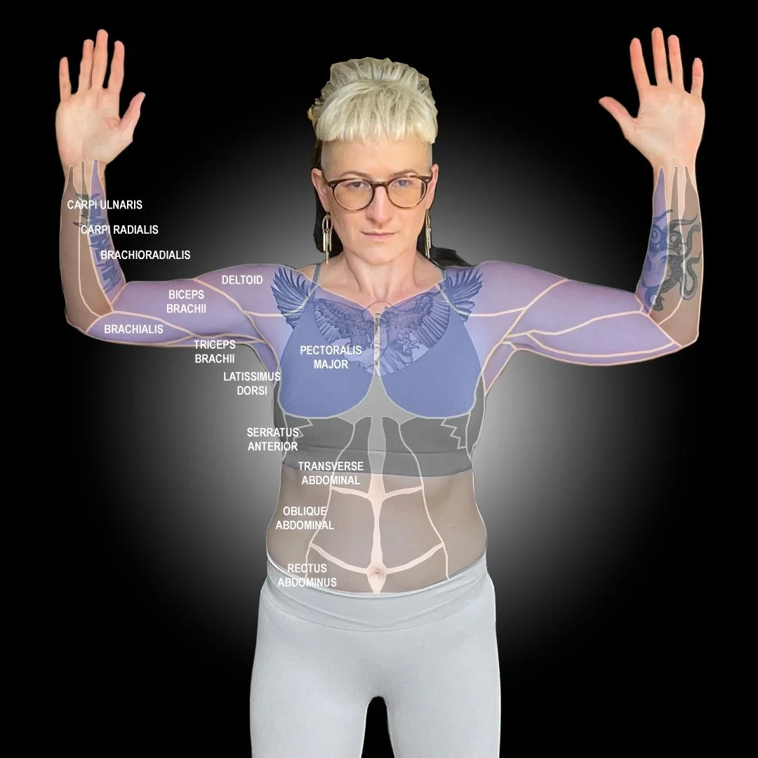 NERD ALERT! 🤓🚨 What happens when my dad's in town, he's both a doctor and a #weightlifter , and I'm focused on upper body while my hip convalesces?

We design daily #workouts for arms, chest, and back that target specific muscles and I chart all re