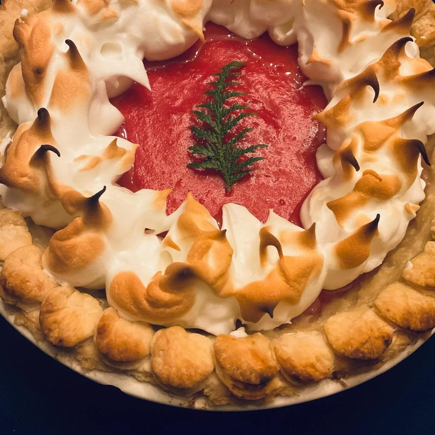 Might be the first time I&rsquo;ve ever completed all I set out to on a #Thanksgiving so&hellip;banner year! Hope you&rsquo;ve all had a good one. TIME TO DIGEST. 🥴

Snowglobe Party Drinks
Slow Cooker Turkey Breast + Lemon/Garlic Gravy*
Creamy Baked