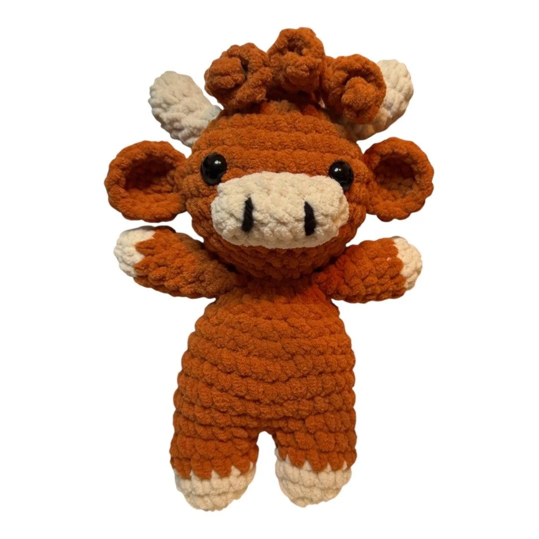 Vanessa's Crochet Creations
