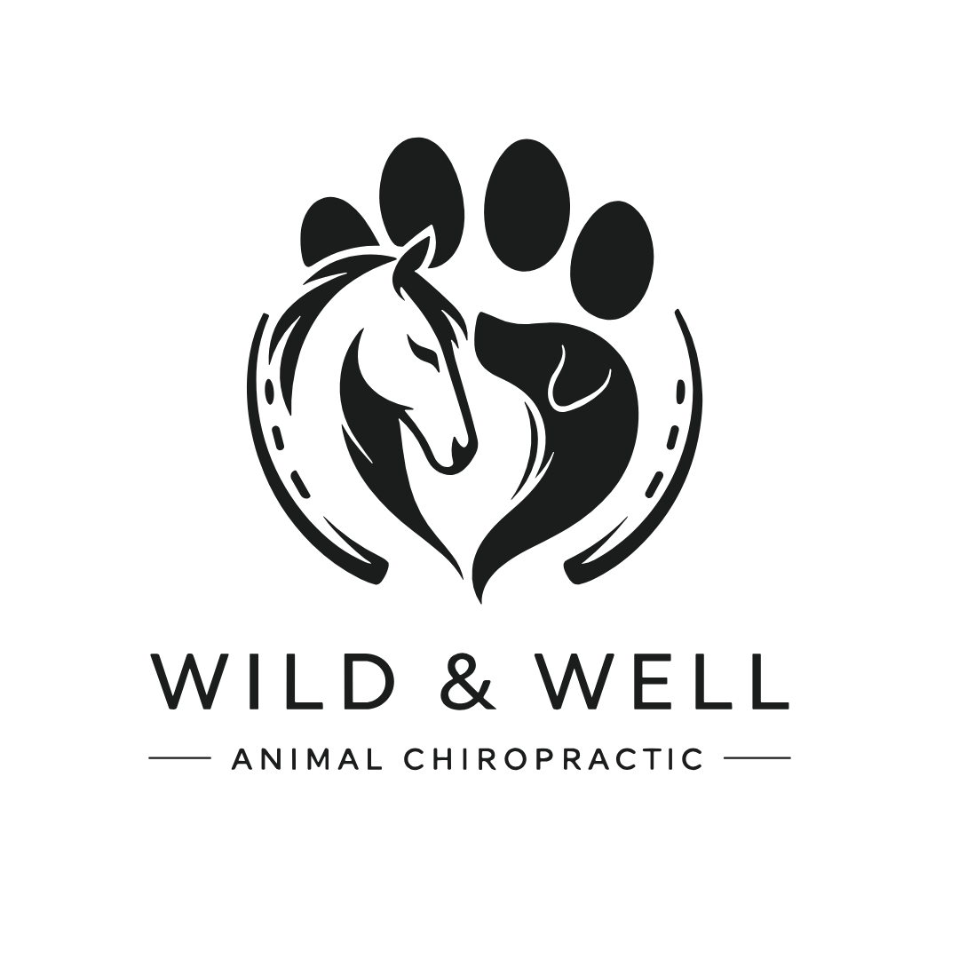 Wild and Well Animal Chiropractic square logo.png