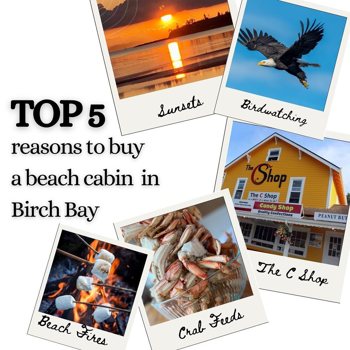 My personal &ldquo;Top 5&rdquo; to buy a cabin at the bay. Here&rsquo;s a few more&hellip;
Golf cart zone, best 4th of July in the country, festivals throughout the year, beach combing for driftwood, walking the berm&hellip; the list goes on &amp; on