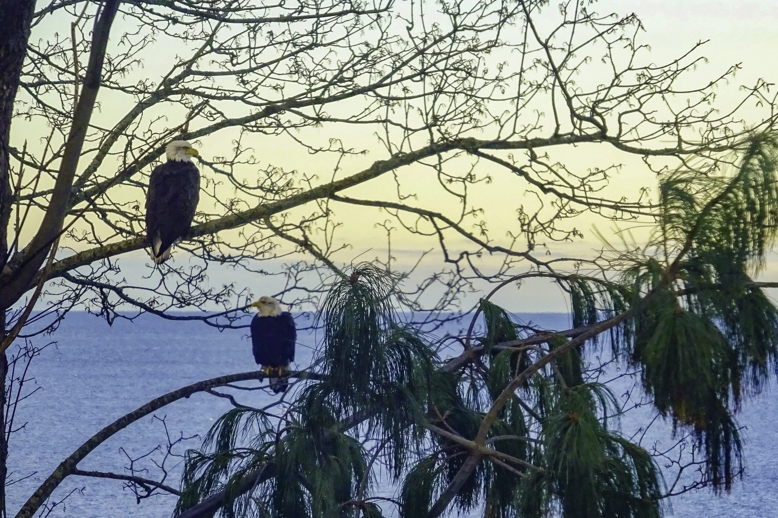 6955 BB Dr client photos-13.jpg