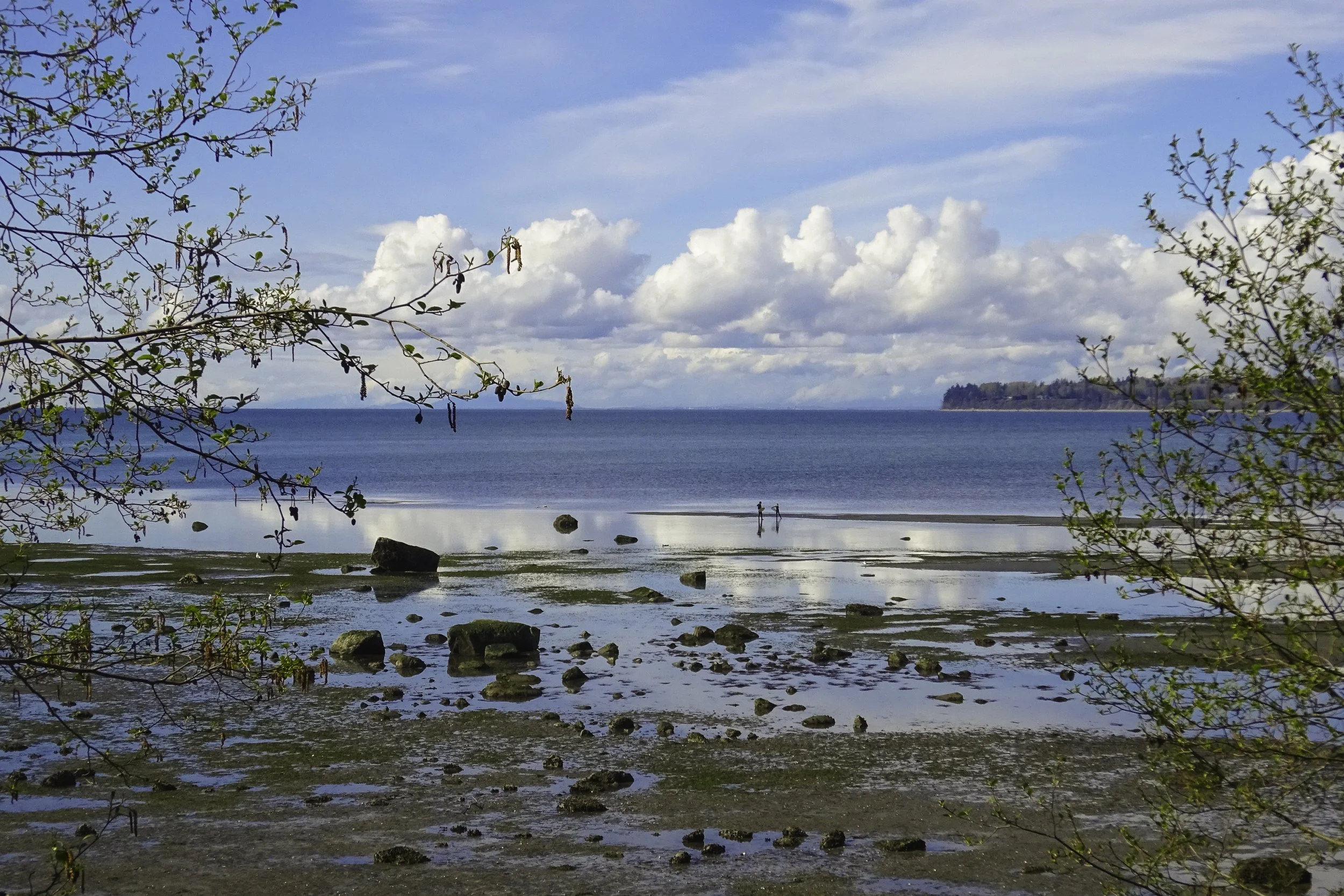 6955 BB Dr client photos-23.jpg