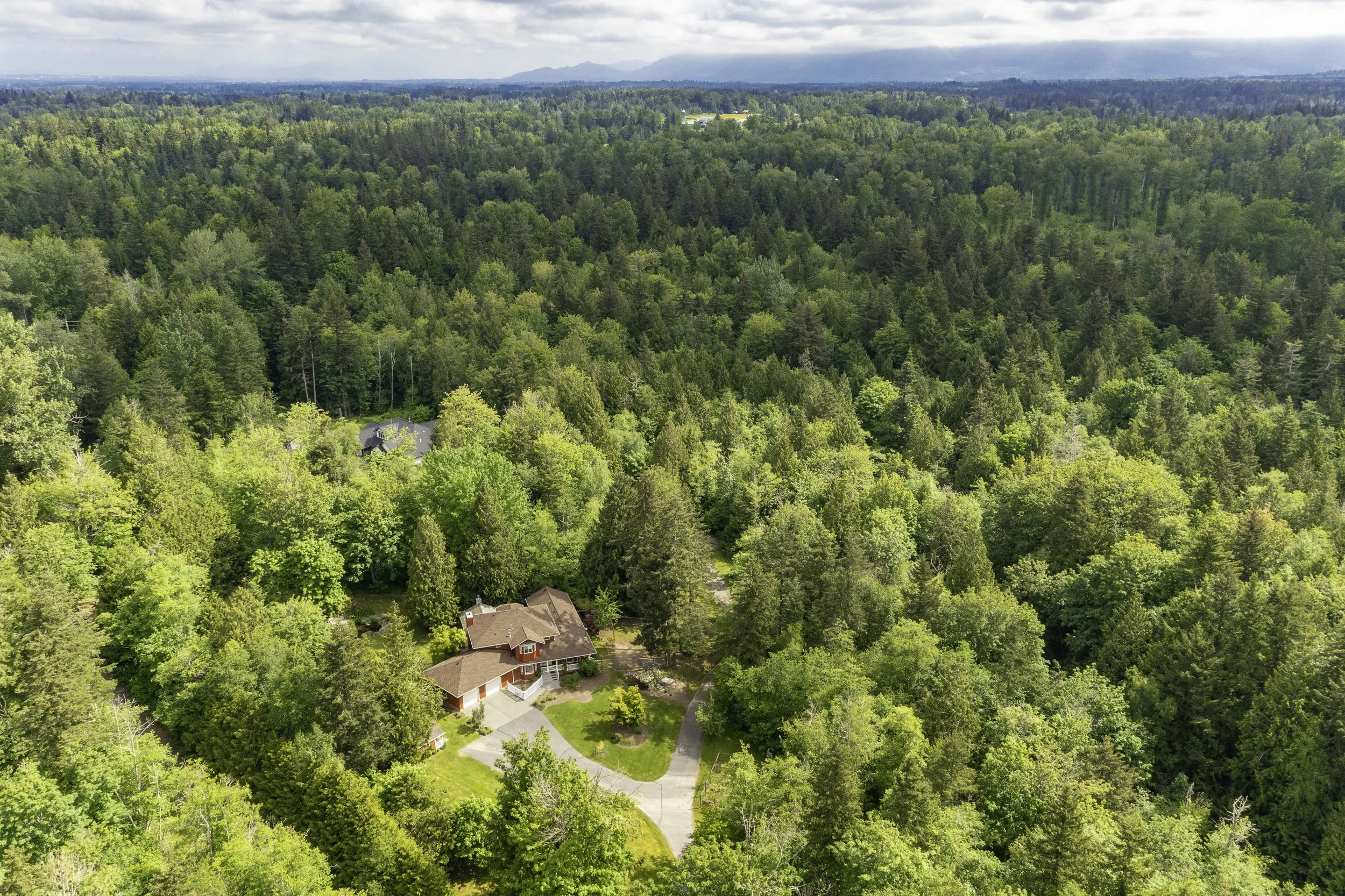4644 Vining Drone-11.jpg