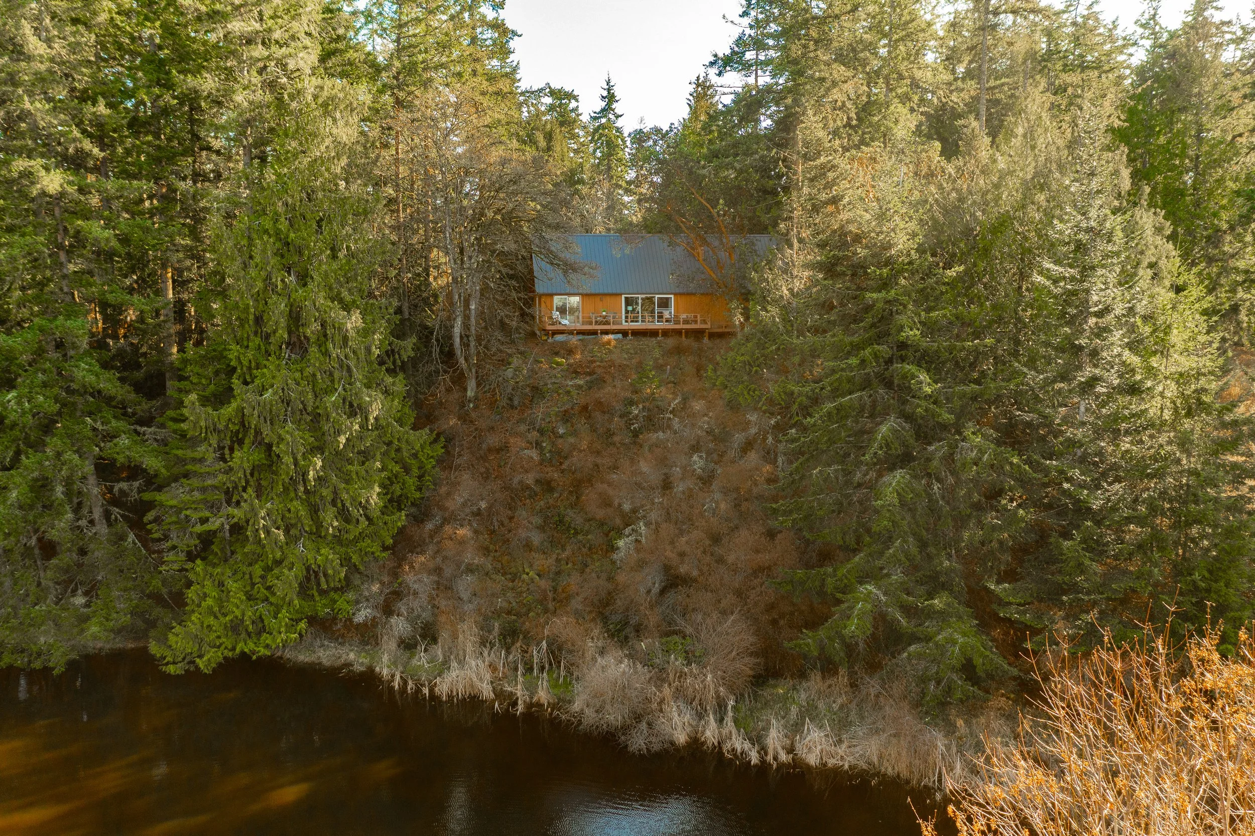 Shaw Island Drone-2.jpg