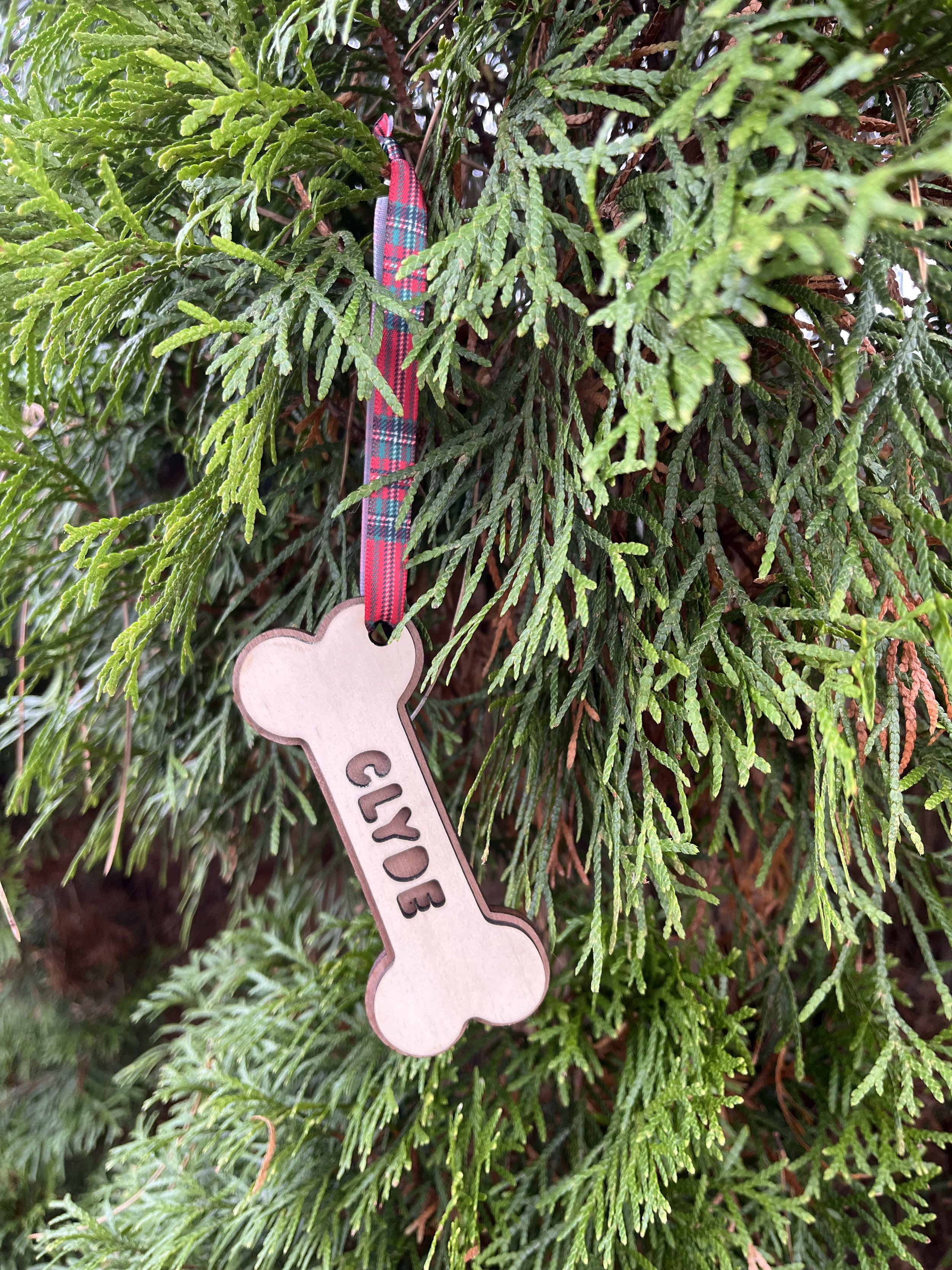Dog Bone Ornament