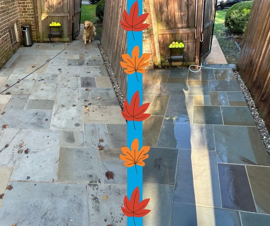 Before: this back patio was looking rough&hellip; even the homeowner&rsquo;s dog was peeking through the gate like, &ldquo;are you gonna clean that?&rdquo; 🐶👀

After: spotless, fresh, and ready for family time, BBQs, and backyard lounging. 🦆💦

Fr