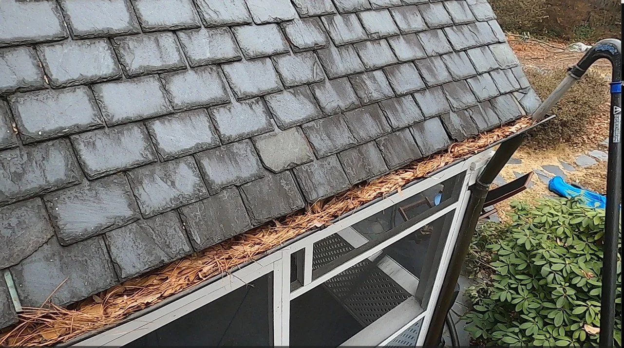 Don’t let your gutters quack under pressure! 
Leaves are falling fast, and that means your gutters are filling up just as quickly. A clogged gutter can lead to leaks, overflow, and costly damage to your home.
Let Ducky Power Wash handle it &m