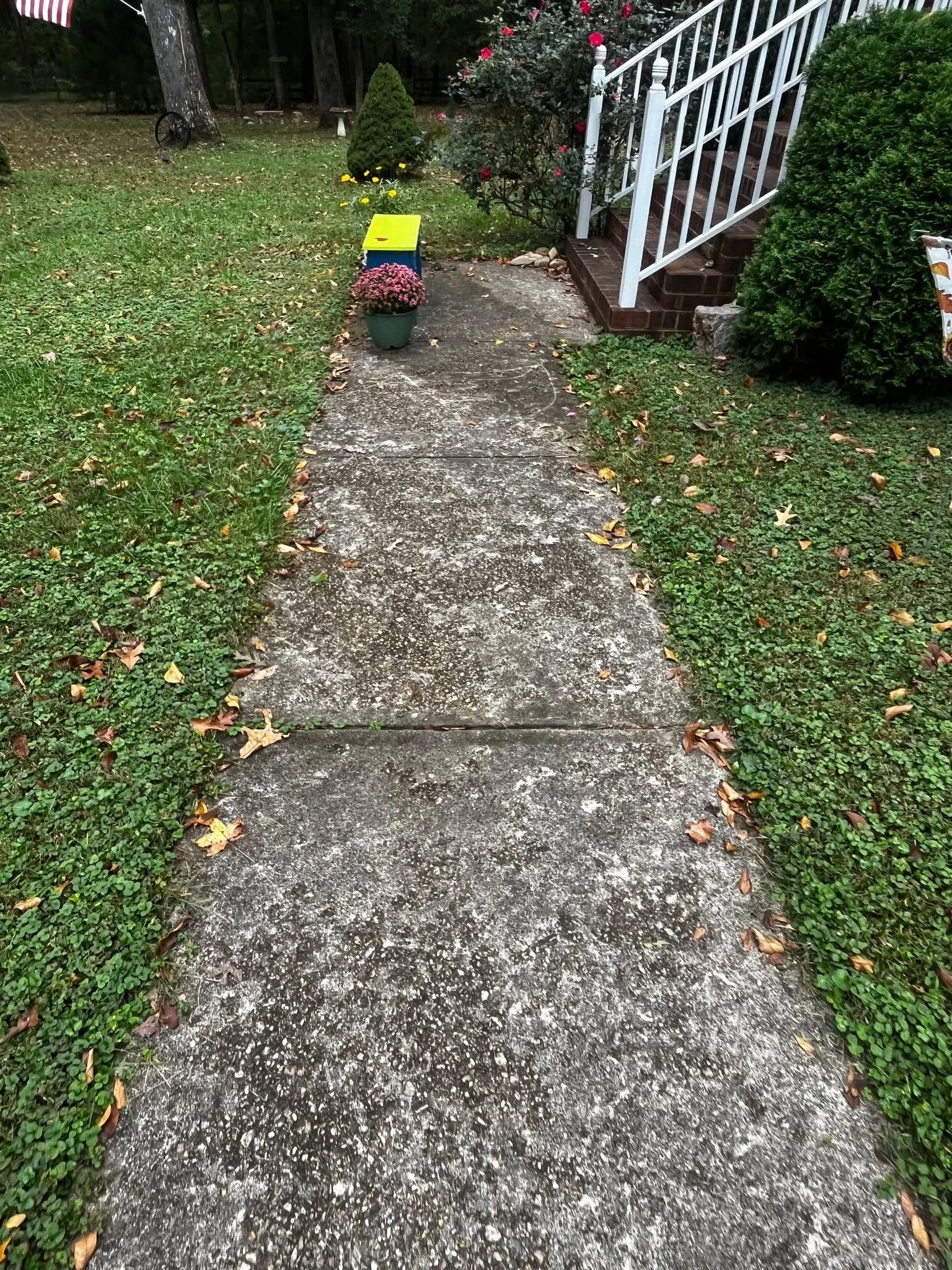 From dull to dazzling! ✨

This front walkway got a serious refresh thanks to a professional power wash from Ducky Power Wash. Years of dirt and grime &mdash; gone in one visit!

Your home&rsquo;s first impression starts at the front walk. Let&rsquo;s