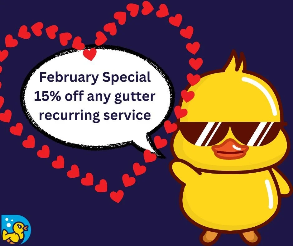 🚨 FEBRUARY MONTHLY SPECIAL 🚨

Tired of dealing with clogged gutters every season?
February is the perfect time to start a recurring gutter service and stay ahead of the mess all year long.

 Routine cleanings
 Protection before spring rains
 Peace 