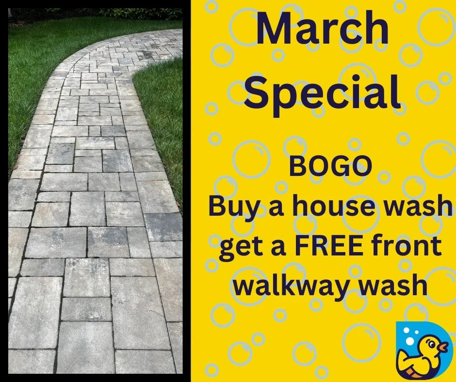 🌈 The Lucky Duck BOGO Special 🌈
Buy a House Wash &amp; Get Your Front Walkway Washed FREE

Because what good is a sparkling castle if the path to it still looks like it survived a leprechaun mud wrestling match? We&rsquo;ll have your siding shining