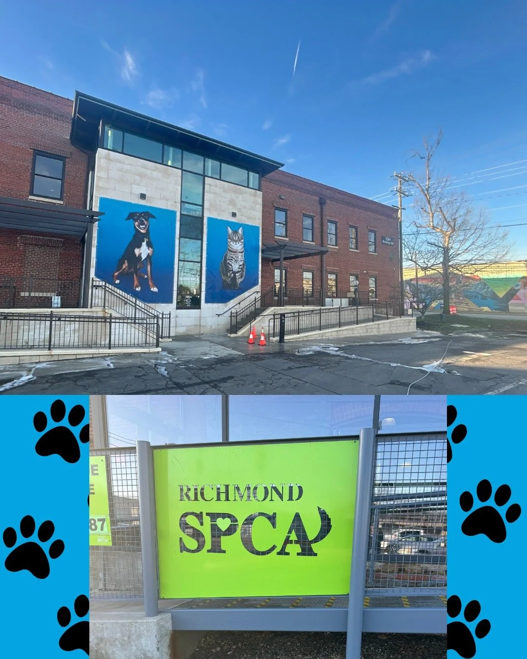 For the past few years, we&rsquo;ve had the awesome opportunity to help the Richmond SPCA get its exterior looking fresh and clean for the annual Dog Jog 5K and Block Party! 🐾

We love being a part of such a fun event that supports an amazing cause 