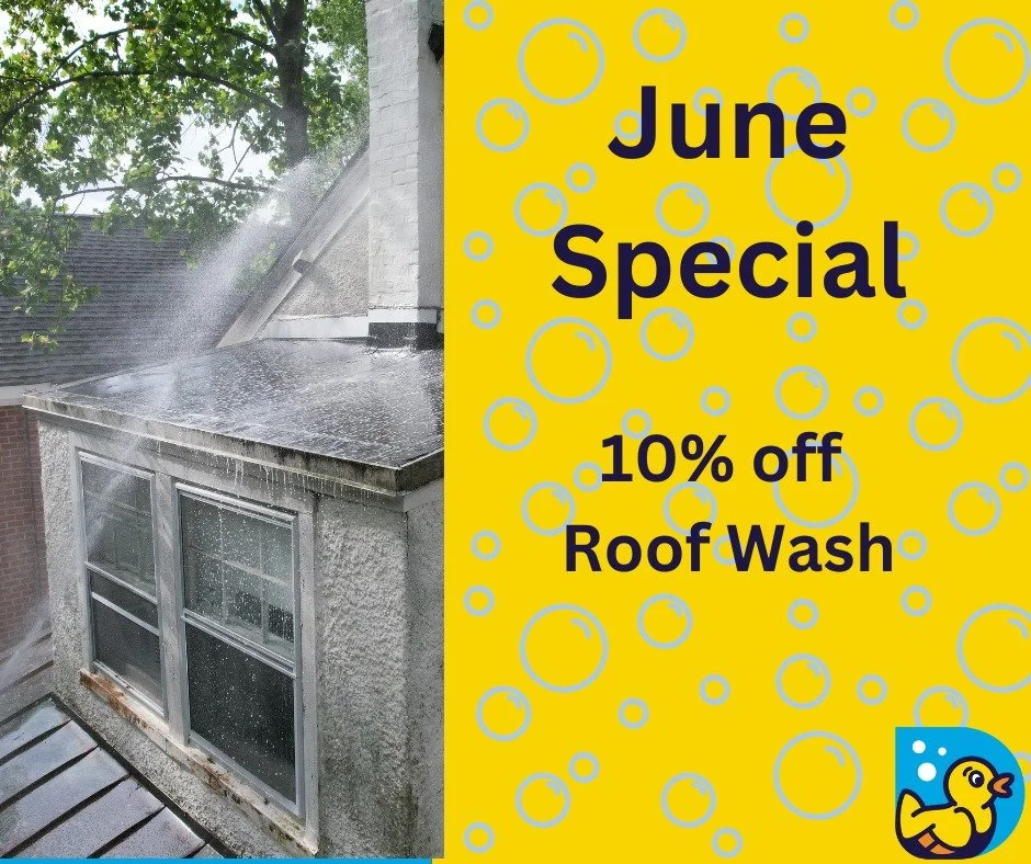 Black streaks and roof stains taking over your home? June is the time to clean it up! 

This month only, enjoy 10% OFF all roof washing services with Ducky Power Wash! We safely remove algae, moss, dirt, and buildup to leave your roof looking fresh a