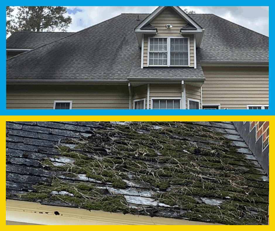 Why June Is the Perfect Time for a Roof Wash