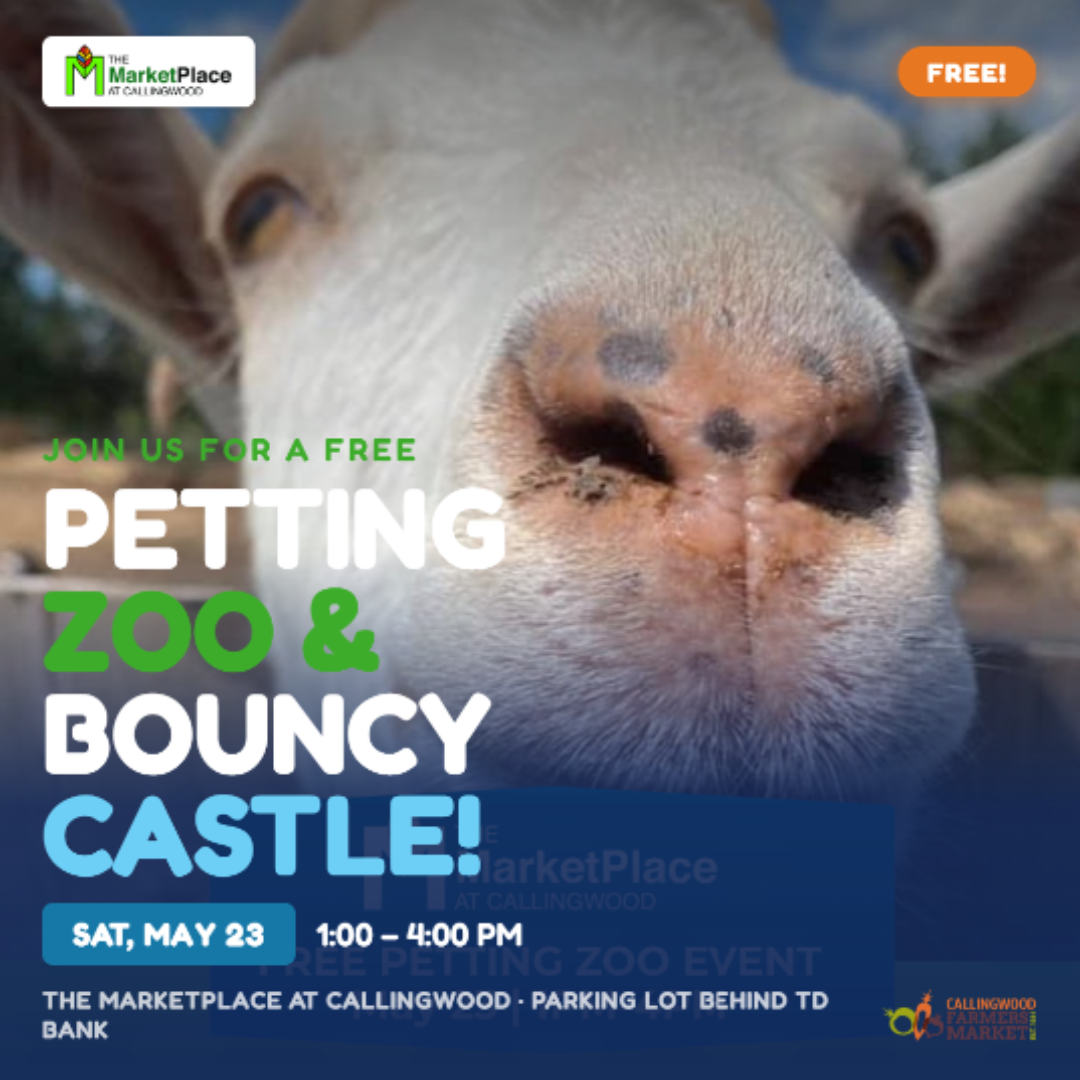 Petting Zoo at Callingwood