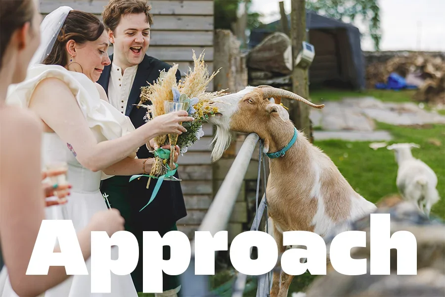 Couple at a farm wedding, with a woman offering a flower to a goat, and a man smiling approvingly.