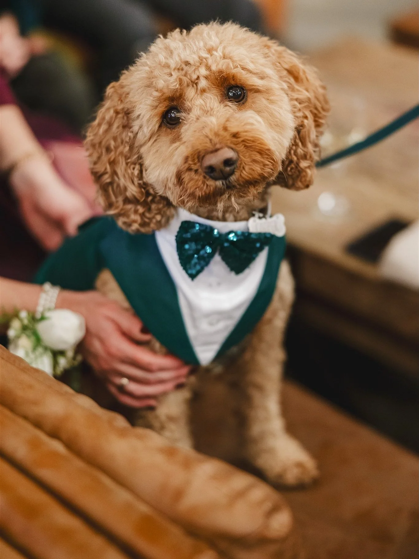 Full gallery delivered for Beth, Nick and of course Cooper!

Big thanks to

Venue - @hanburybarnsvenue 
Videographer - @visionwaveweddings 
Hair - @studio4.6 
Make up - @makeupbyalexandra.x 
Florist - @foreverflowers1622 
Venue stylist - @bee_sweetoc