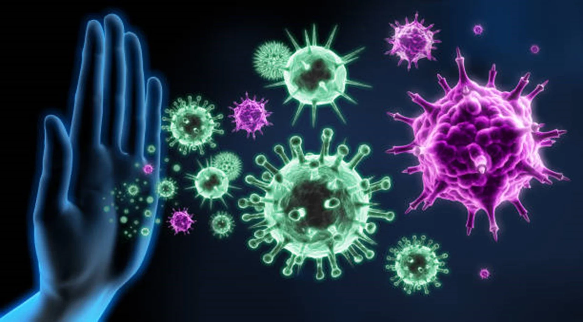 The link between gut health and immune function