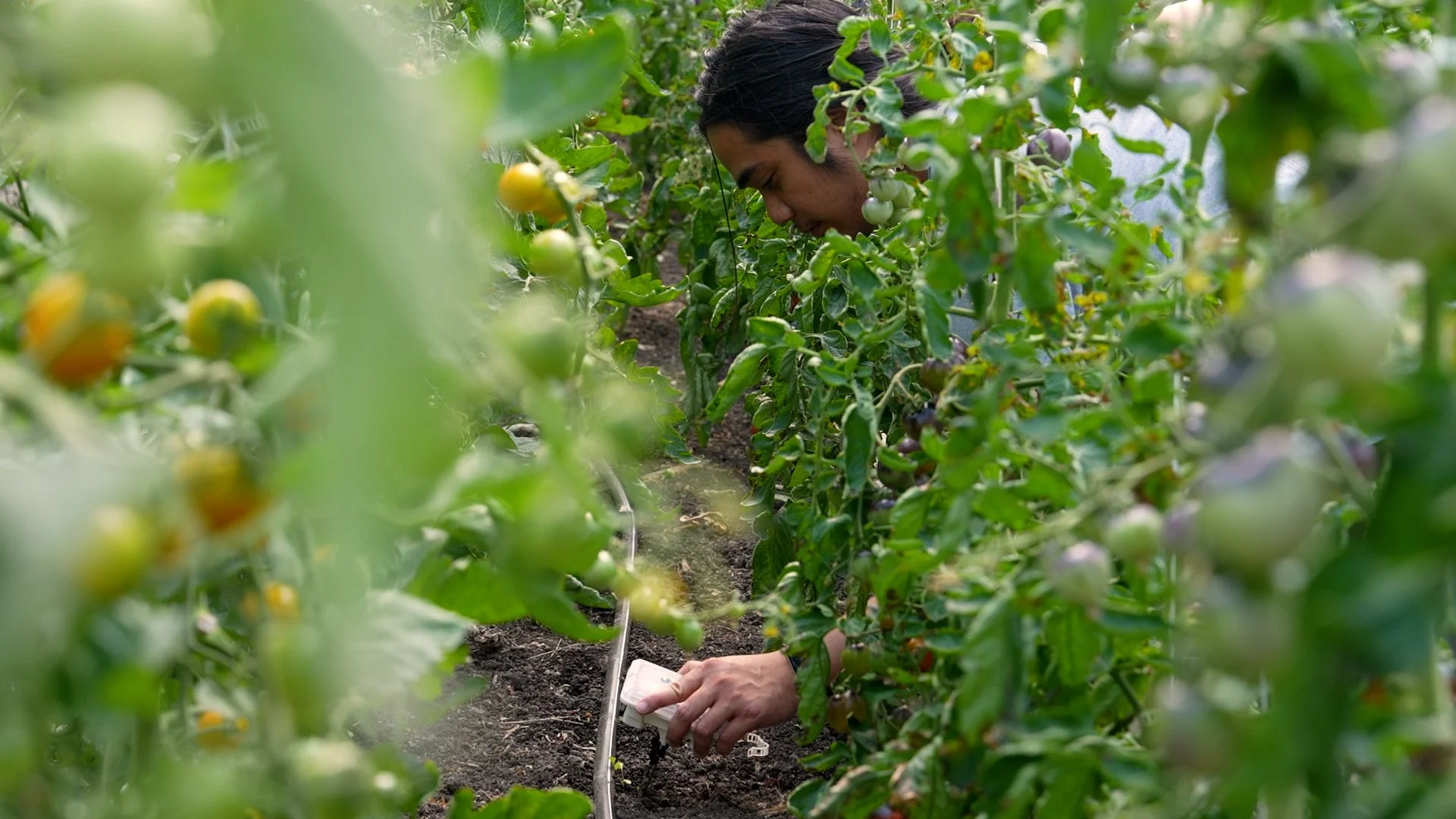 Symposium of Digital Agriculture
