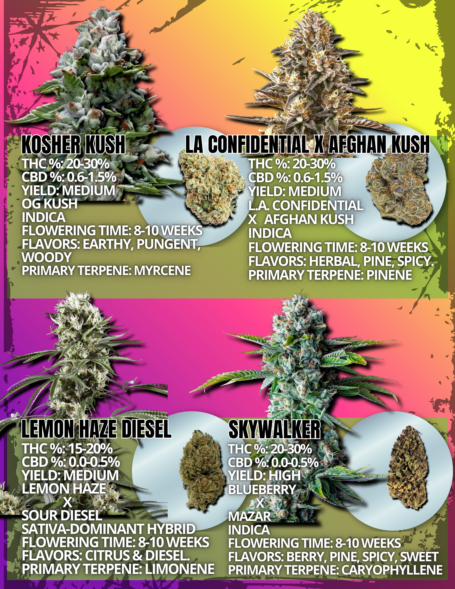 Cannabis Seeds