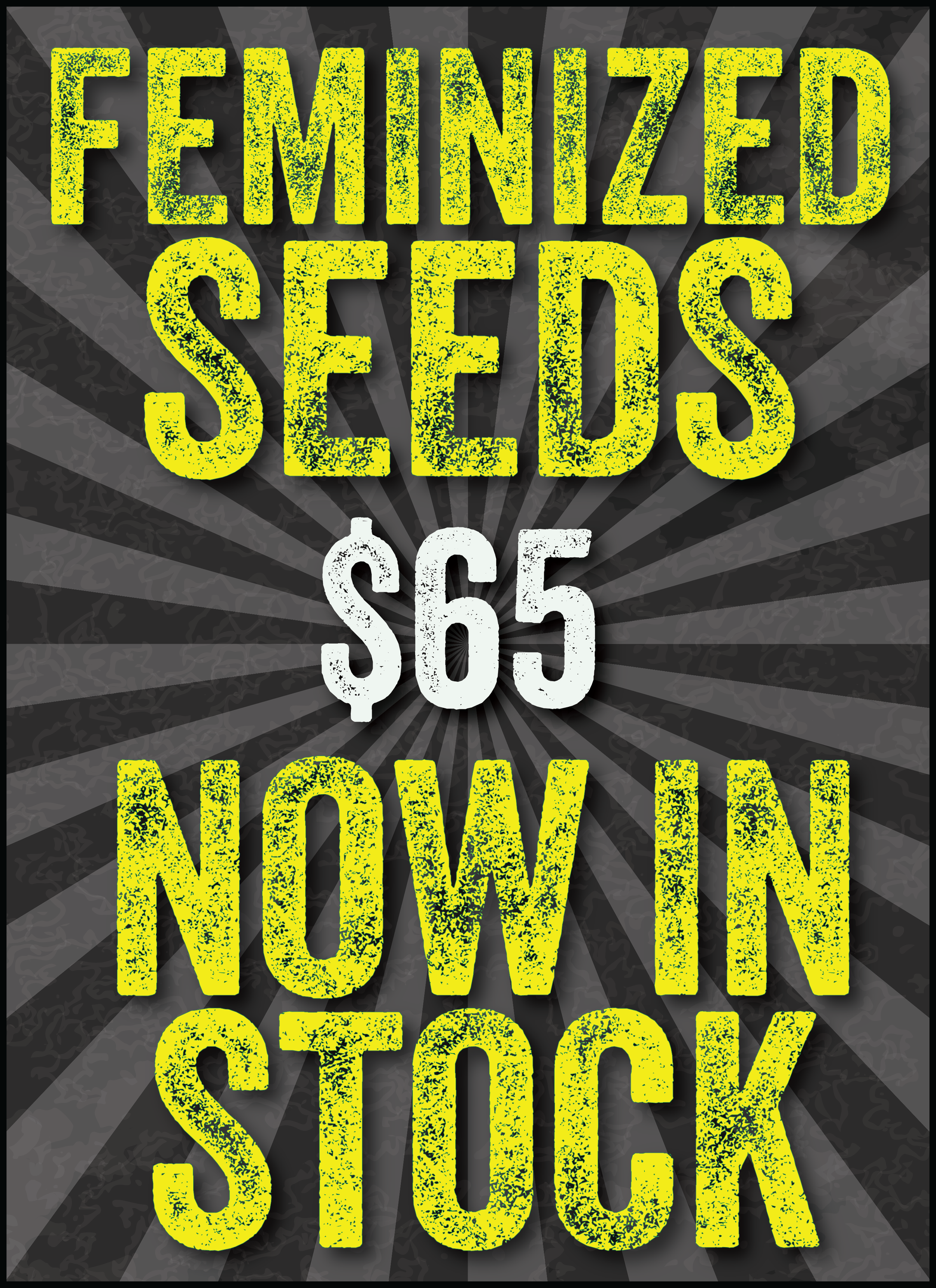 Feminized Seeds For Sale