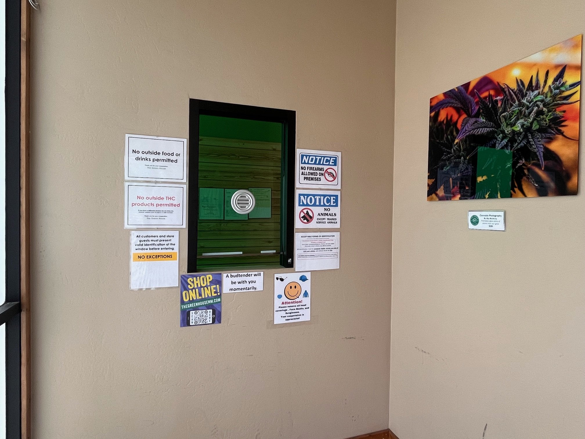 image13.jpeg