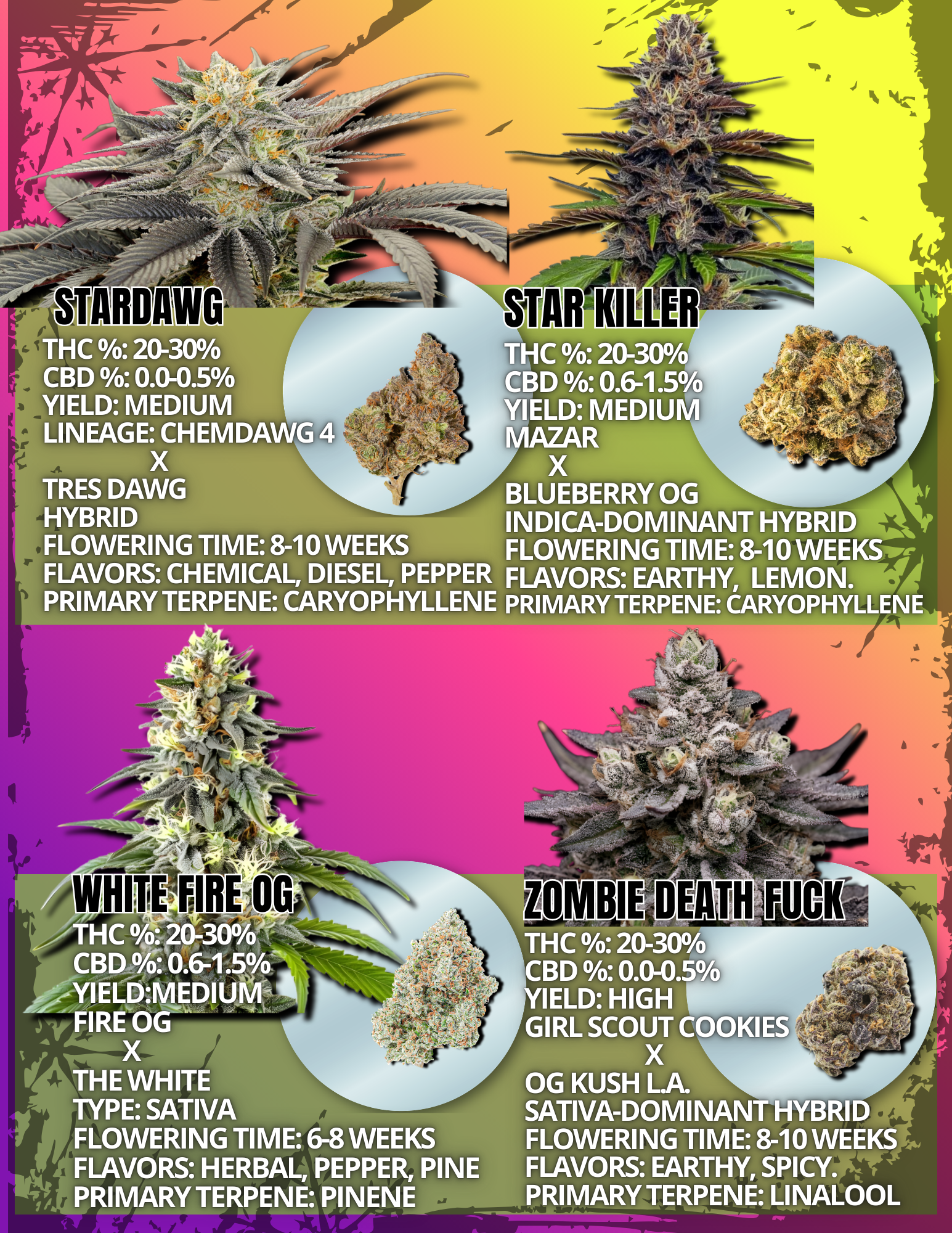 Cannabis Seeds