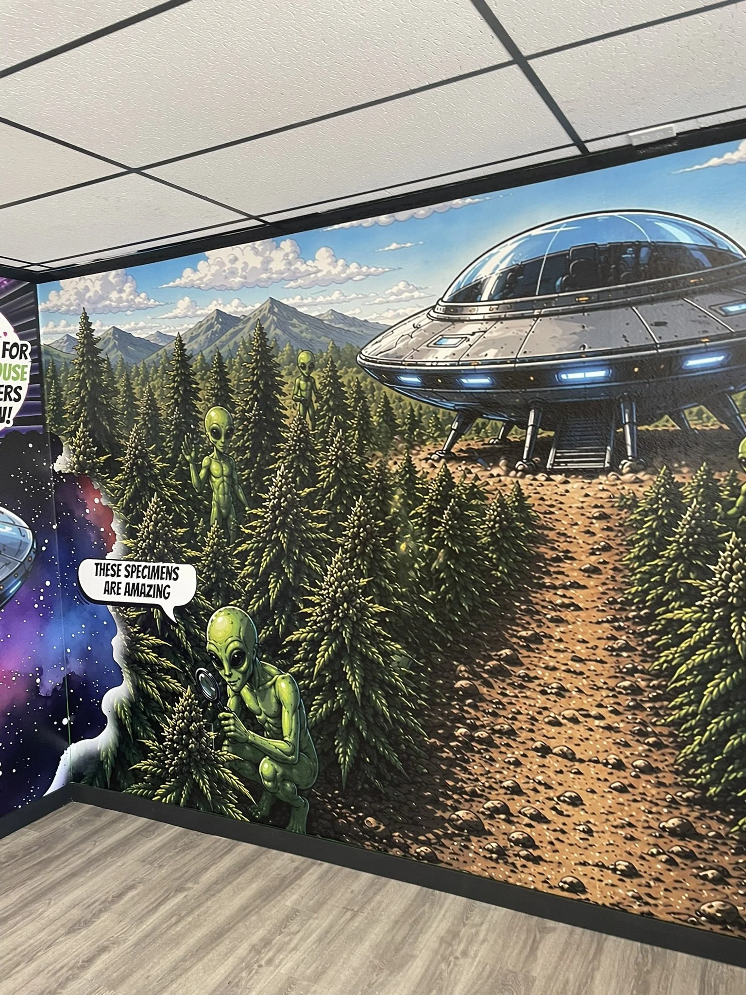 The Best Dispensary in Rowell, New Mexico