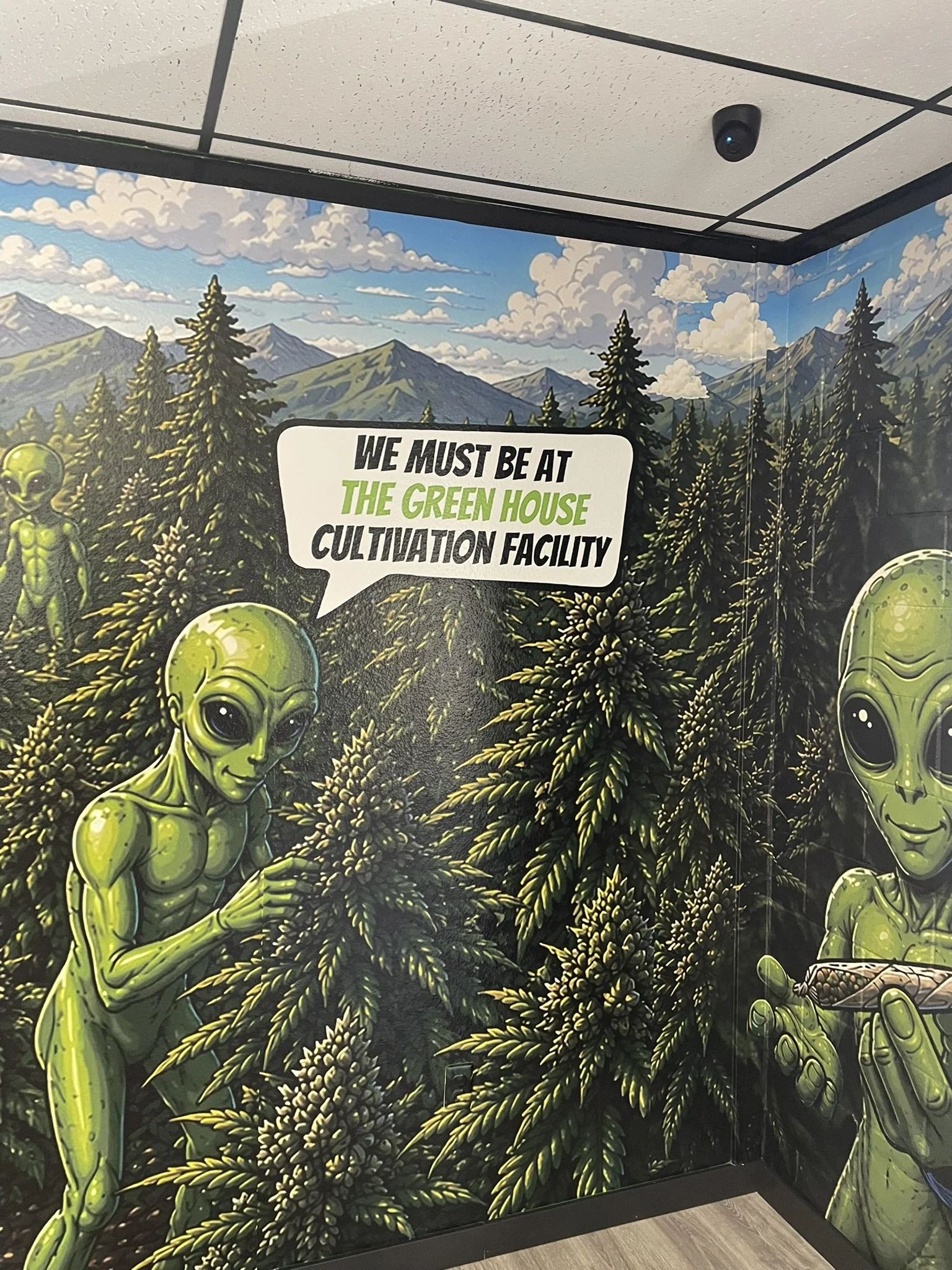 The Best Dispensary in Rowell, New Mexico