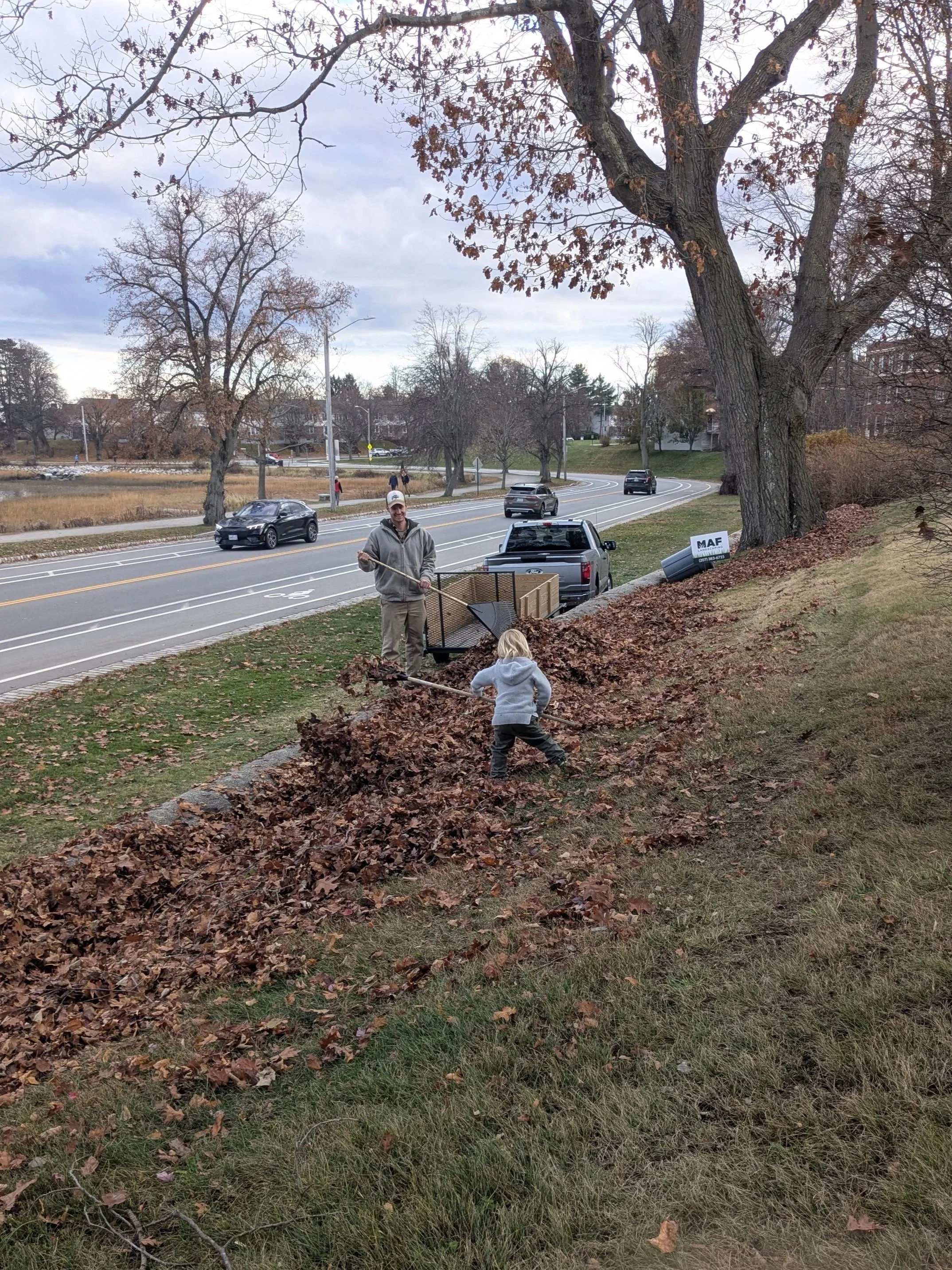 A man and a young boy rake fallen leaves in a yard next to a street.