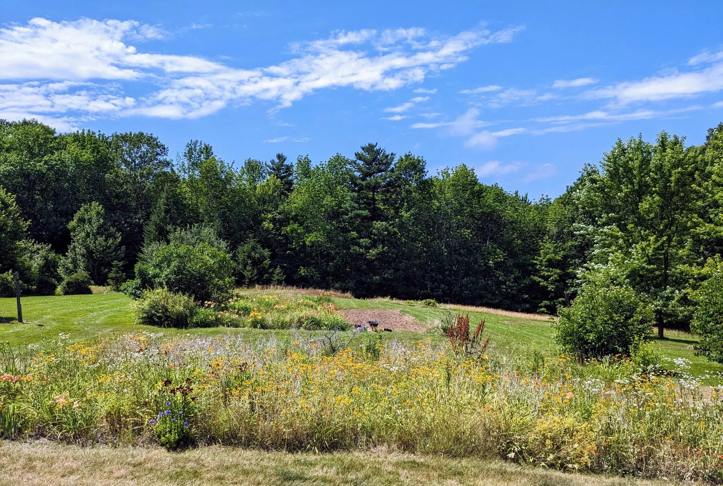 A lush green garden with a variety of flowers, trees, and a grassy area under a partly cloudy blue sky.