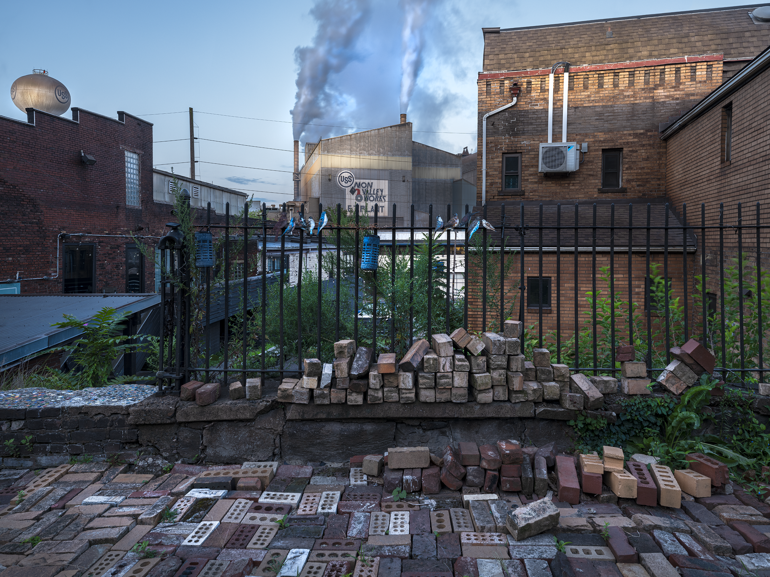 Birds and Steel Mill — Braddock, PA