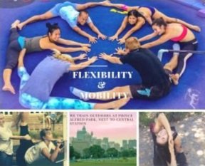 Dita-flexibility-web-300x240.jpg