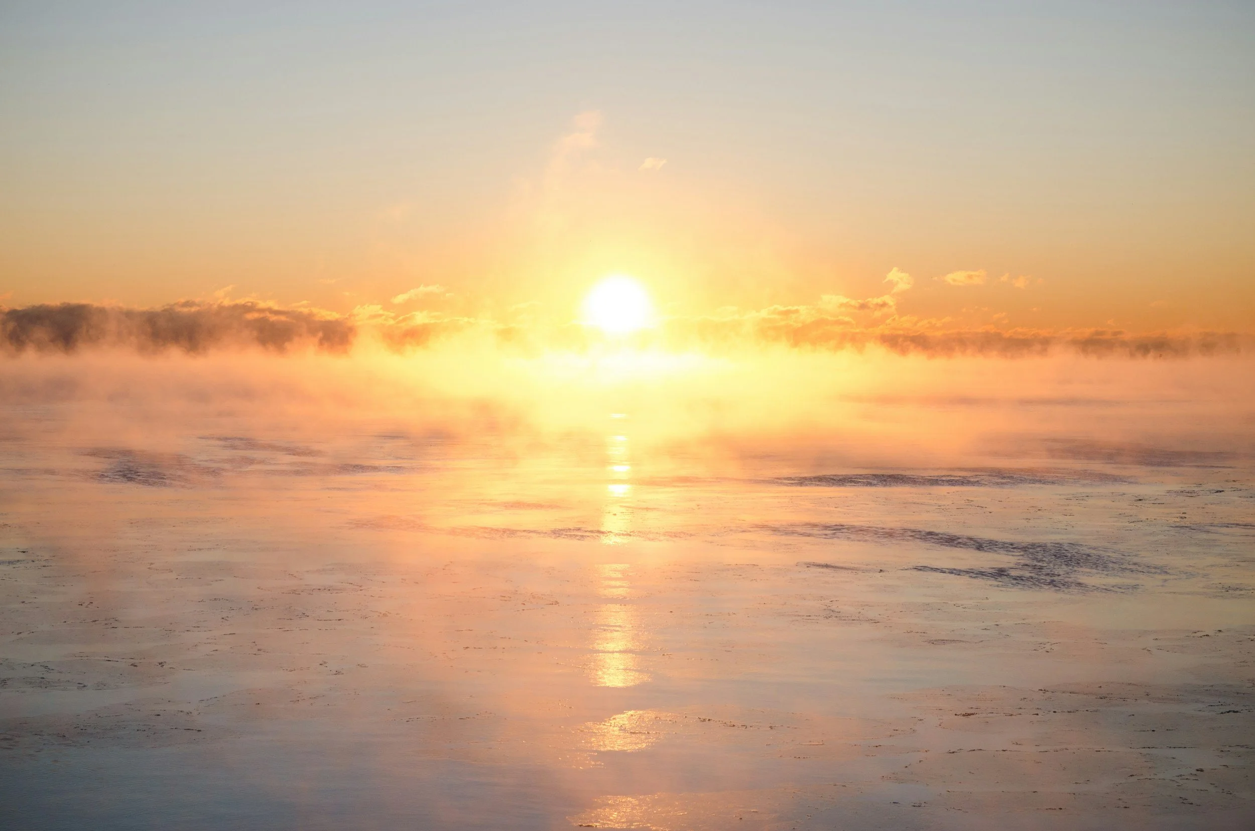 Sunlight Exposure and Fertility:  Why it matters more than you think