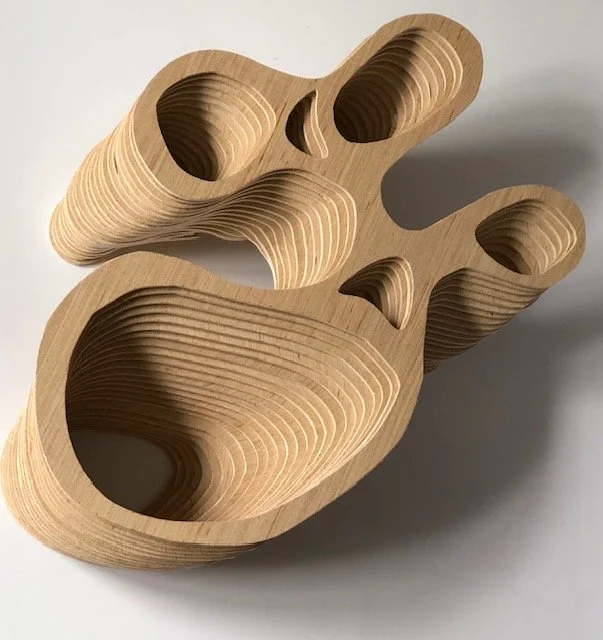 The Brave Bubble Coral