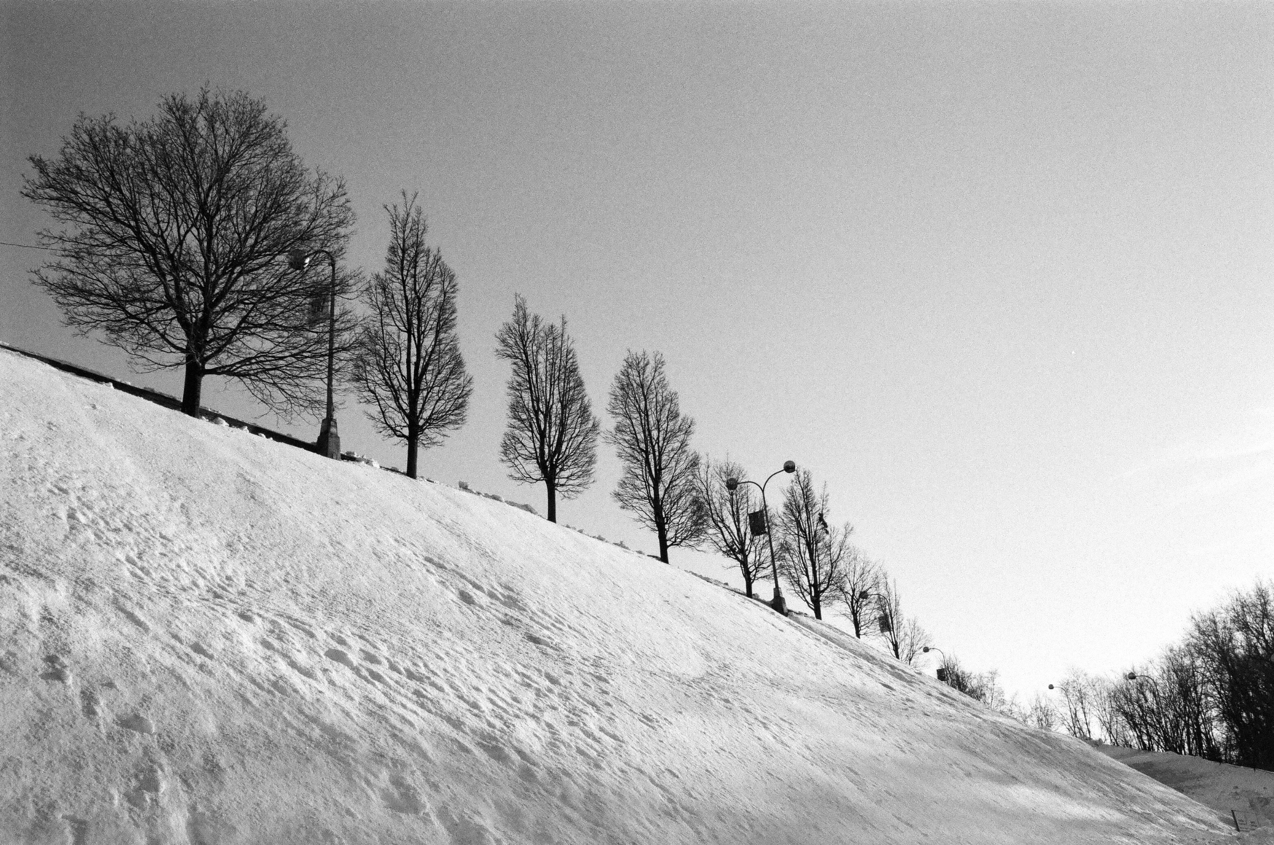 Screenshot 2023-03-31 at 4.38.19 PM.png