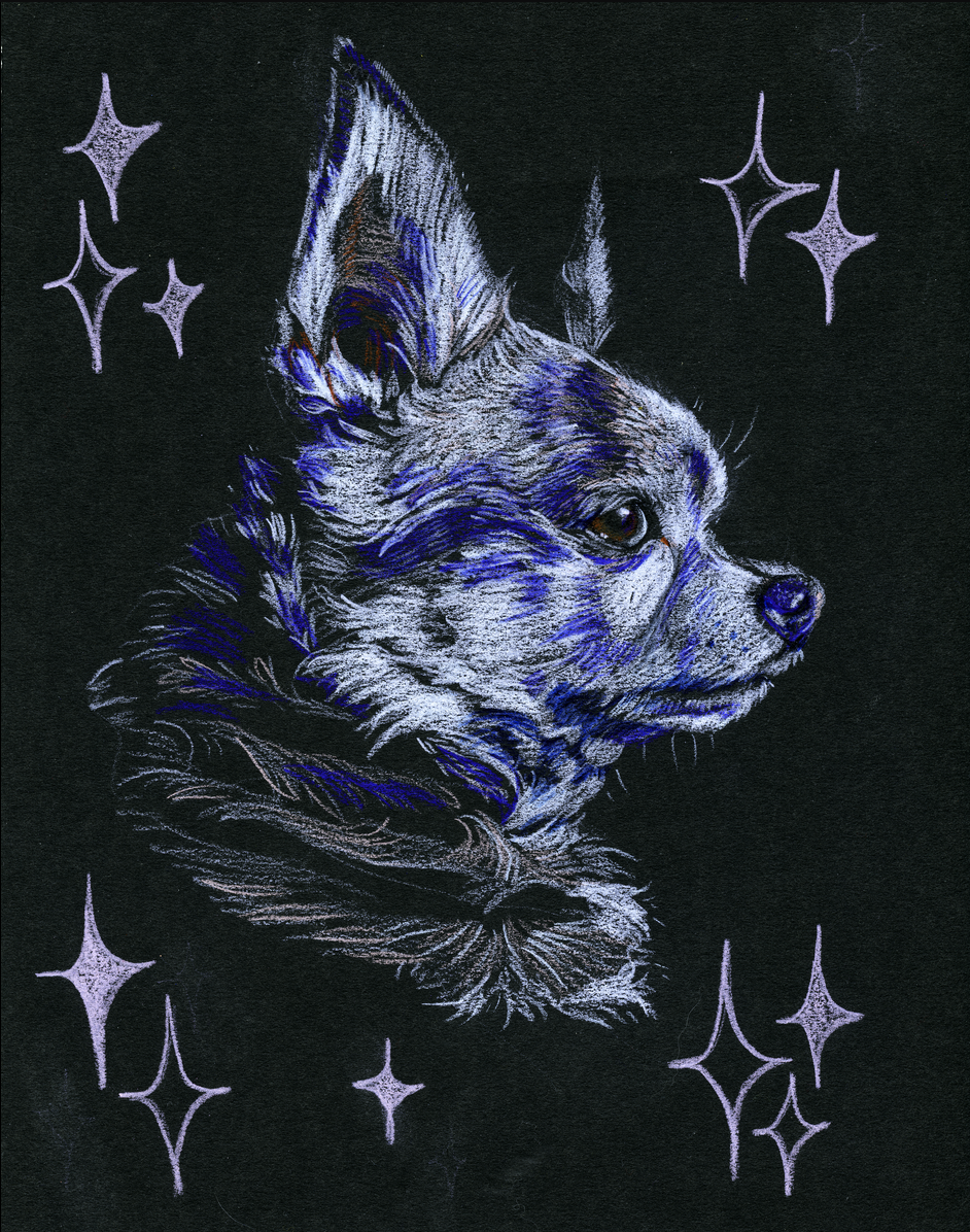 Screen Shot 2024-06-03 at 9.35.56 AM.png