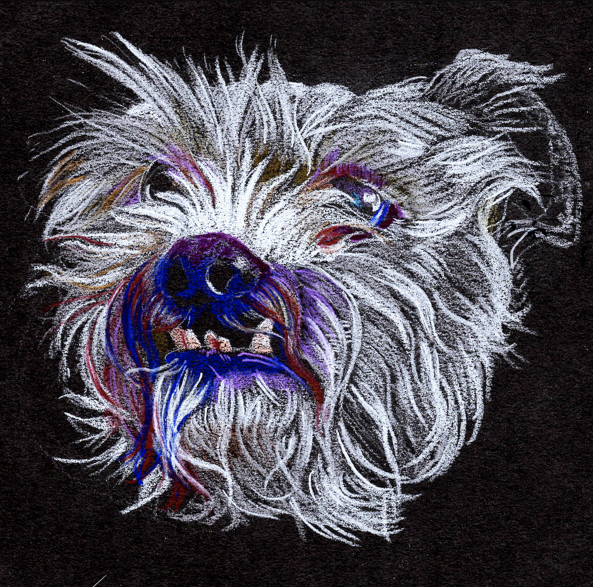 Screen Shot 2024-06-03 at 9.36.10 AM.png