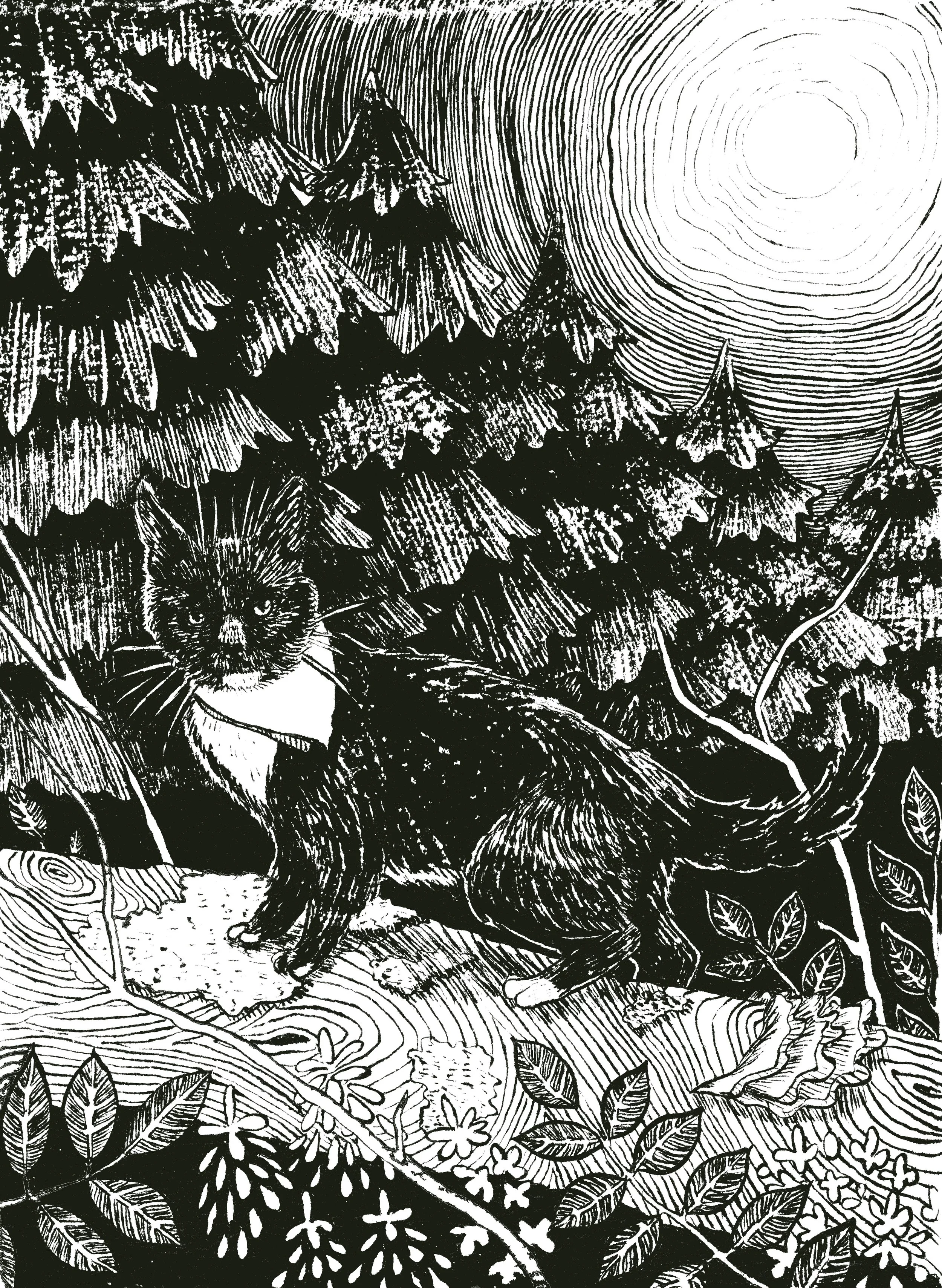 Custom illustration for private client.