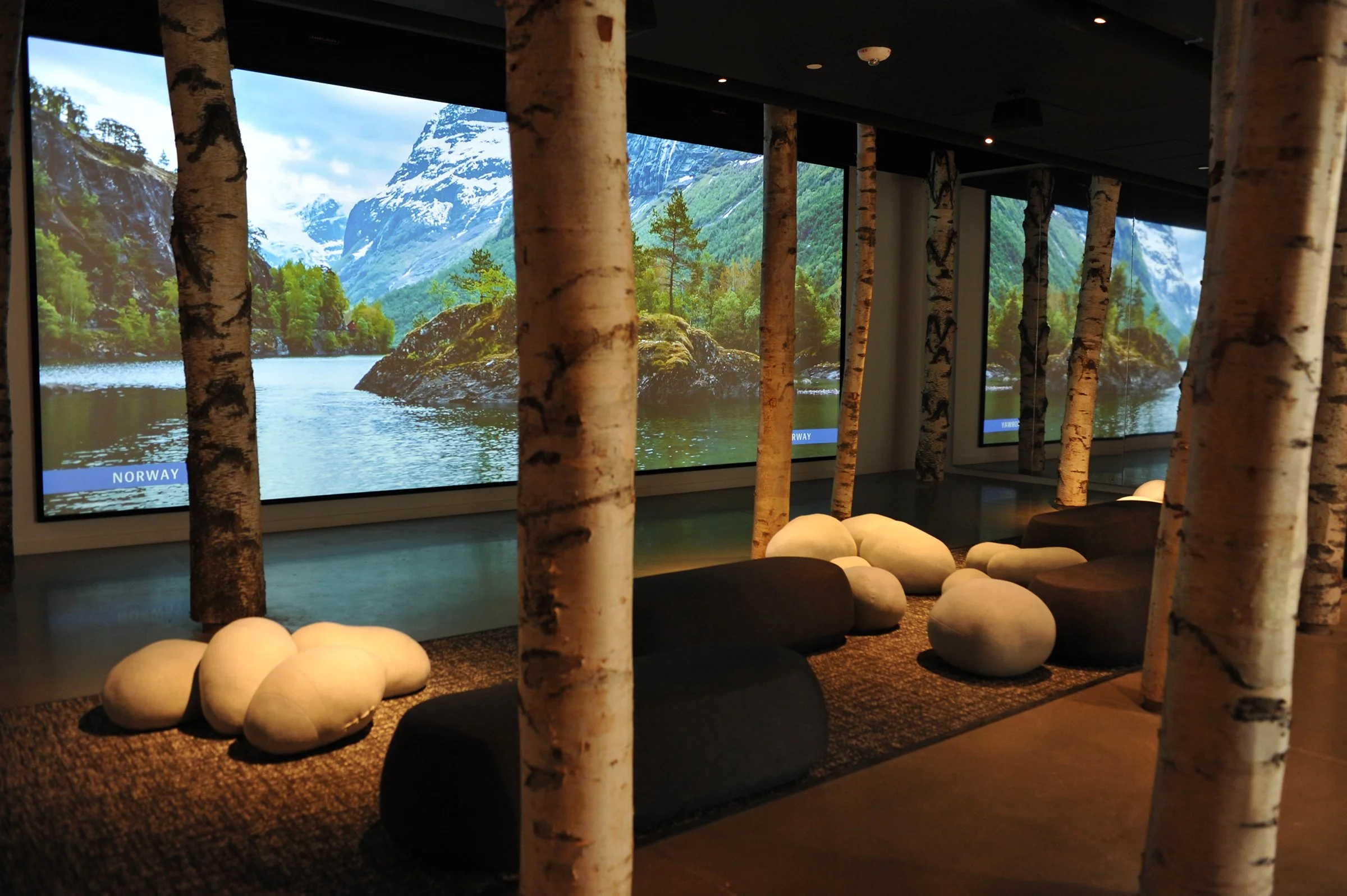 Nordic Museum: Final Installation