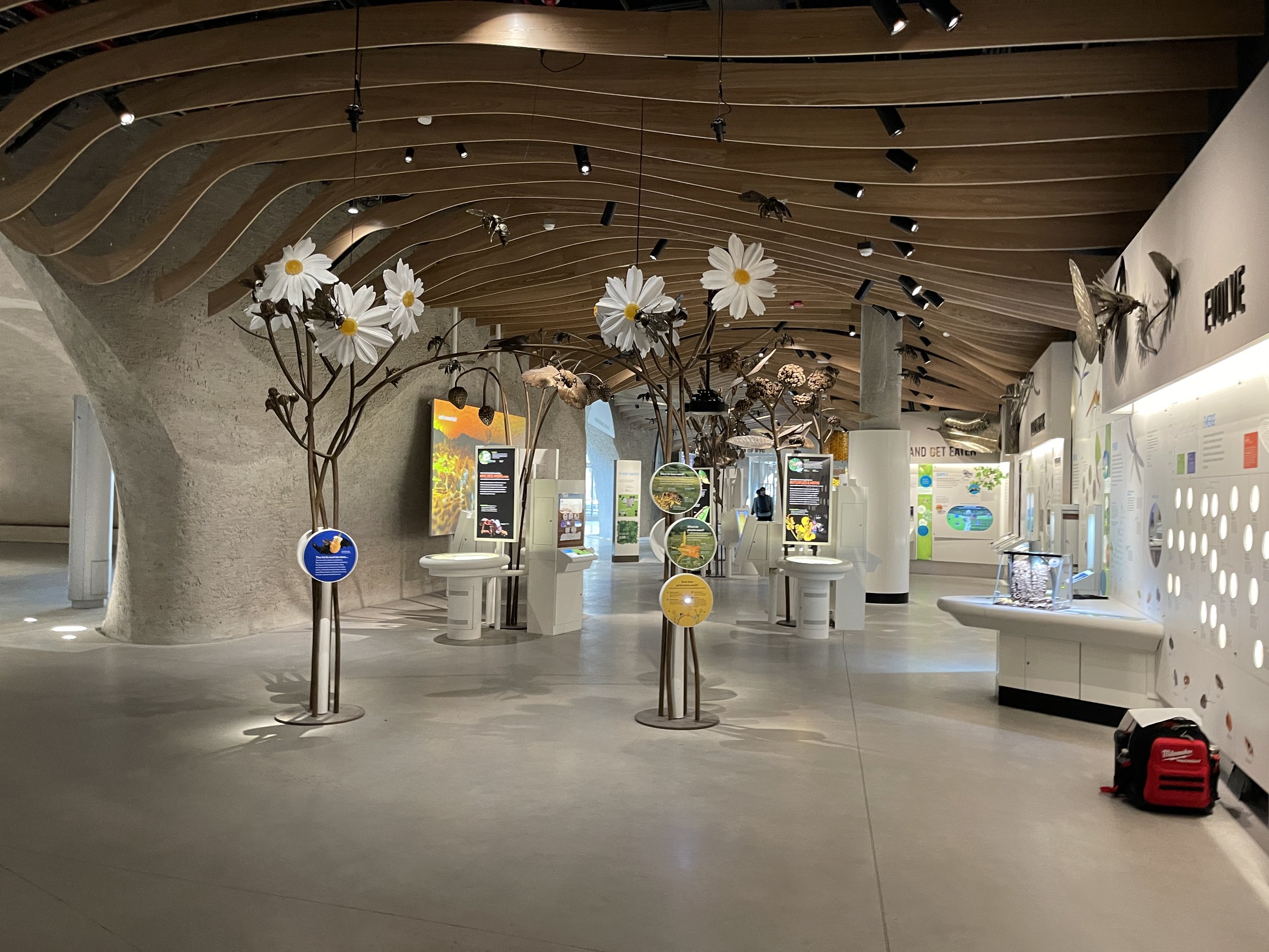AMNH SEIC: Final Installation - Open May 2023