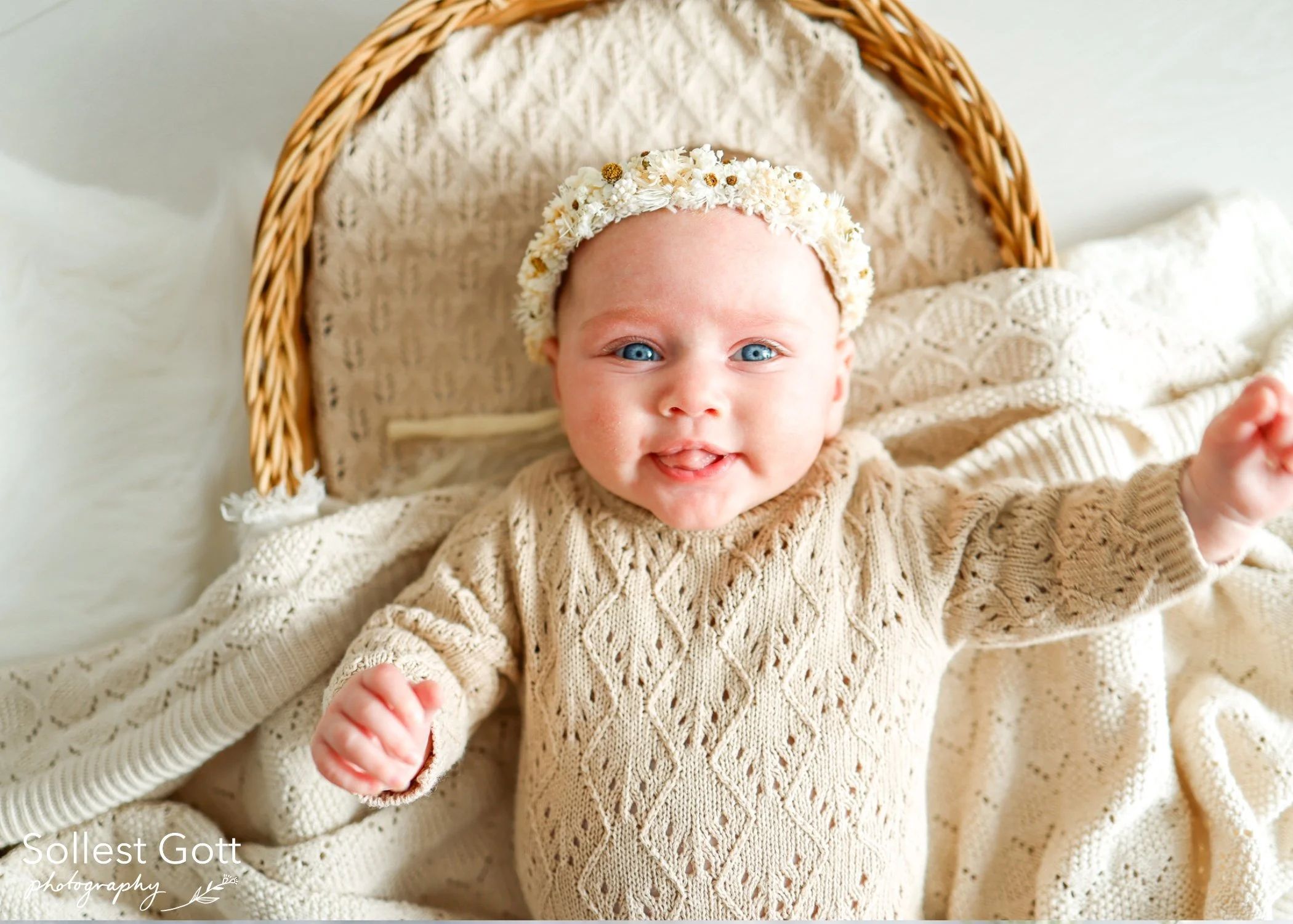 willow_august2026(2).jpg