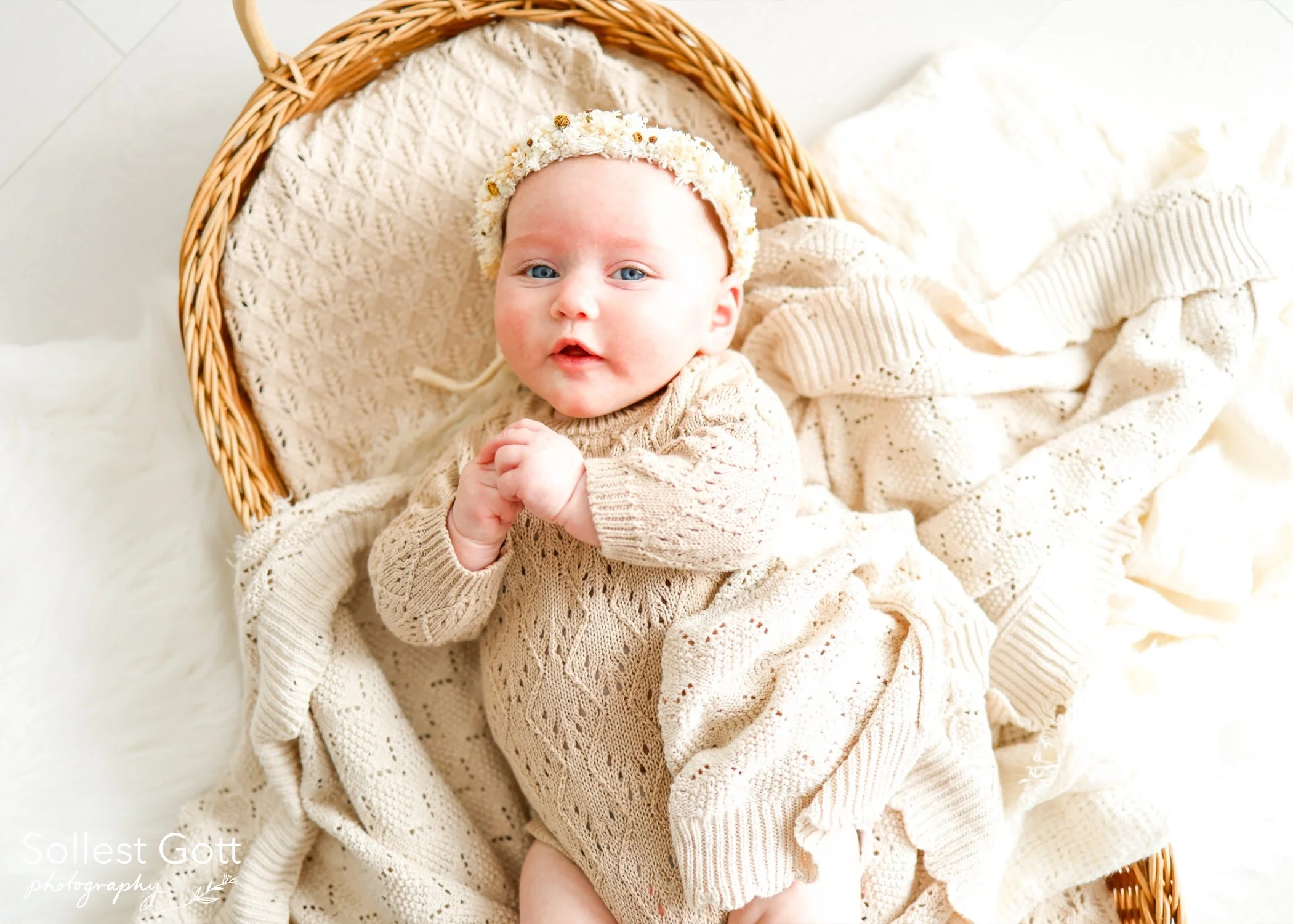 willow_august2026(7).jpg