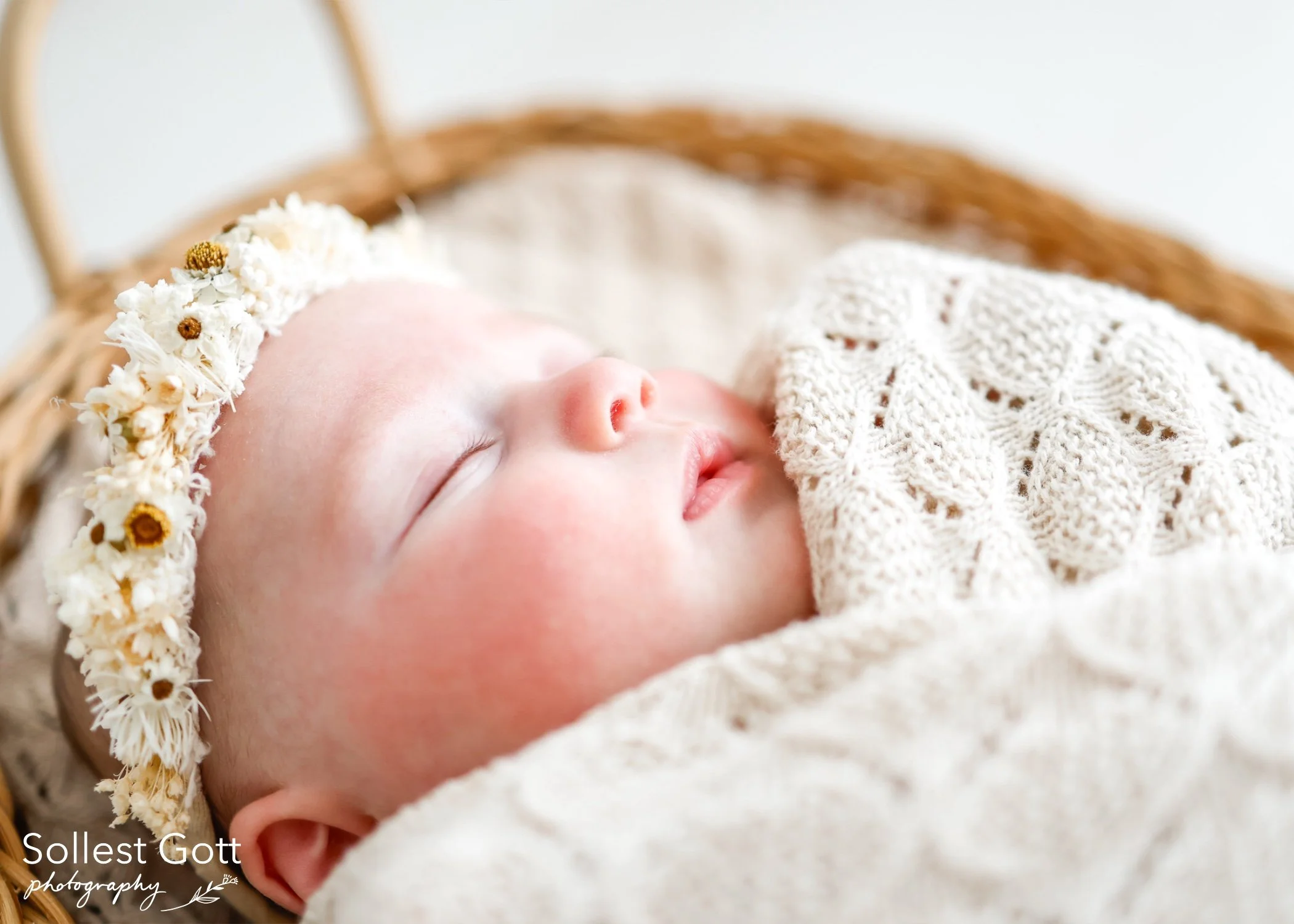 willow_august2026(8).jpg