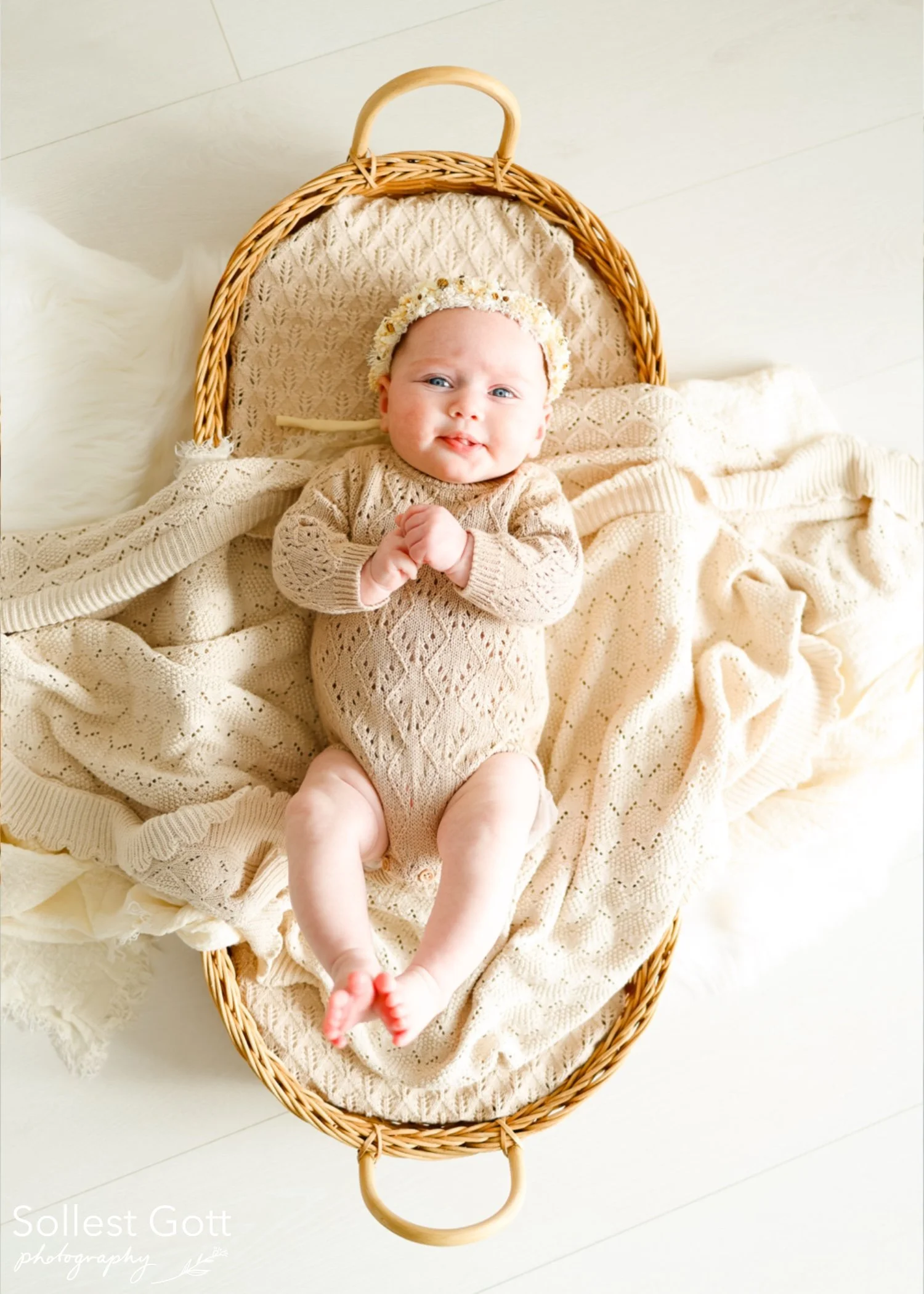 willow_august2026(3).jpg