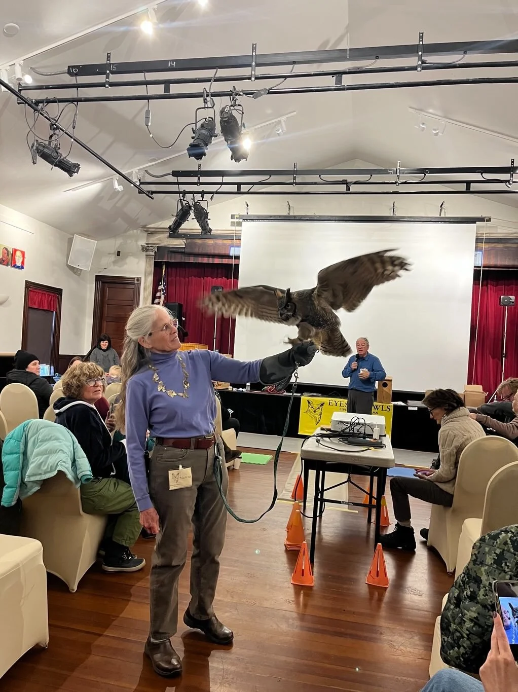 Eyes on Owls- Marcia.jpg