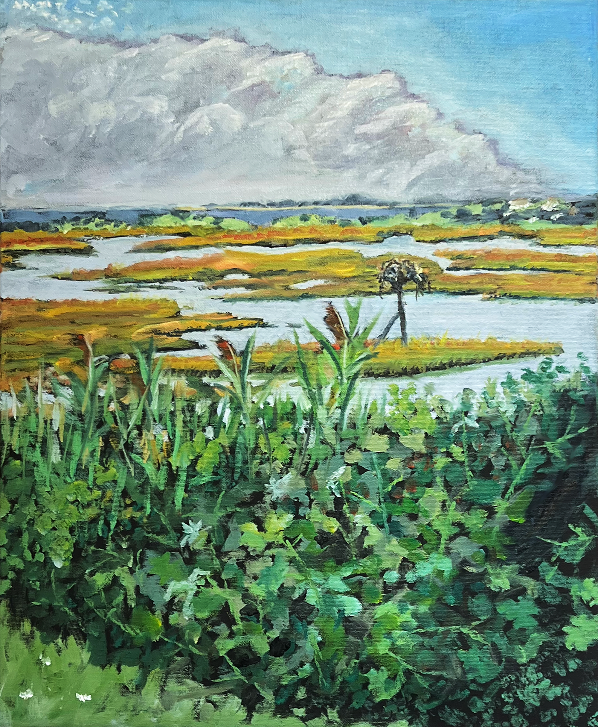 Allen's Pond from the artist's deck - Kitt Shaffer.png