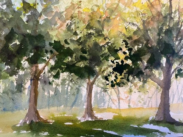 Swift Arbor Glade.jpeg