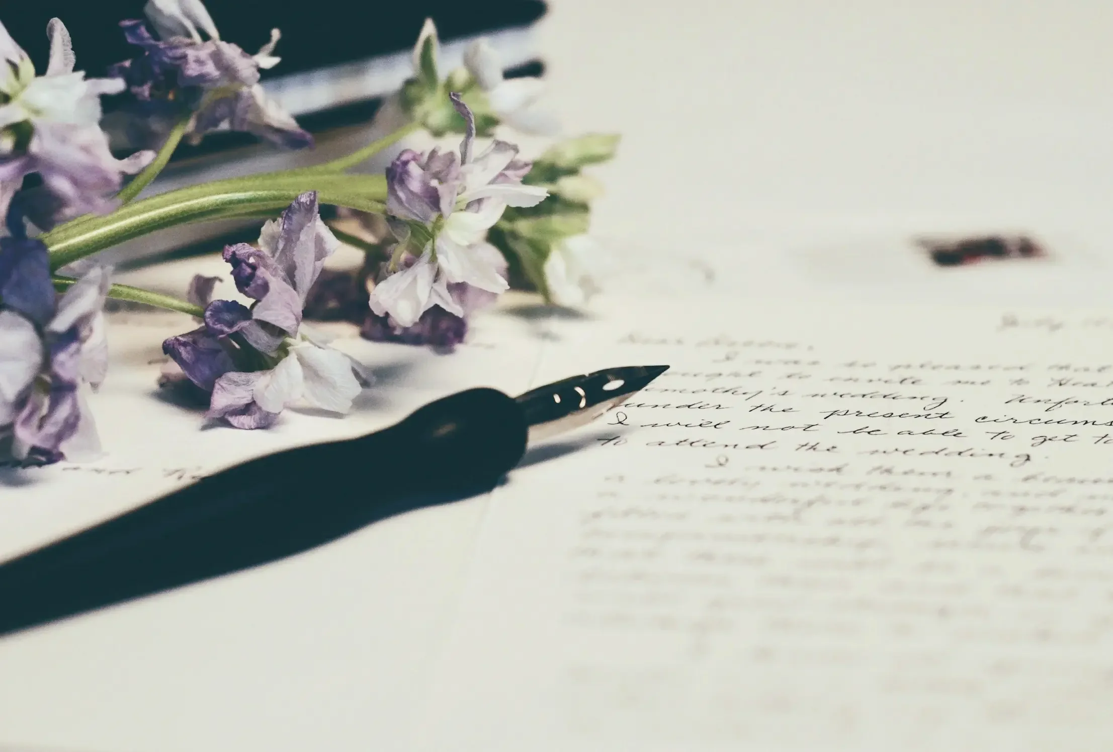 A close-up of a fountain pen and purple flowers resting on a handwritten letter.
