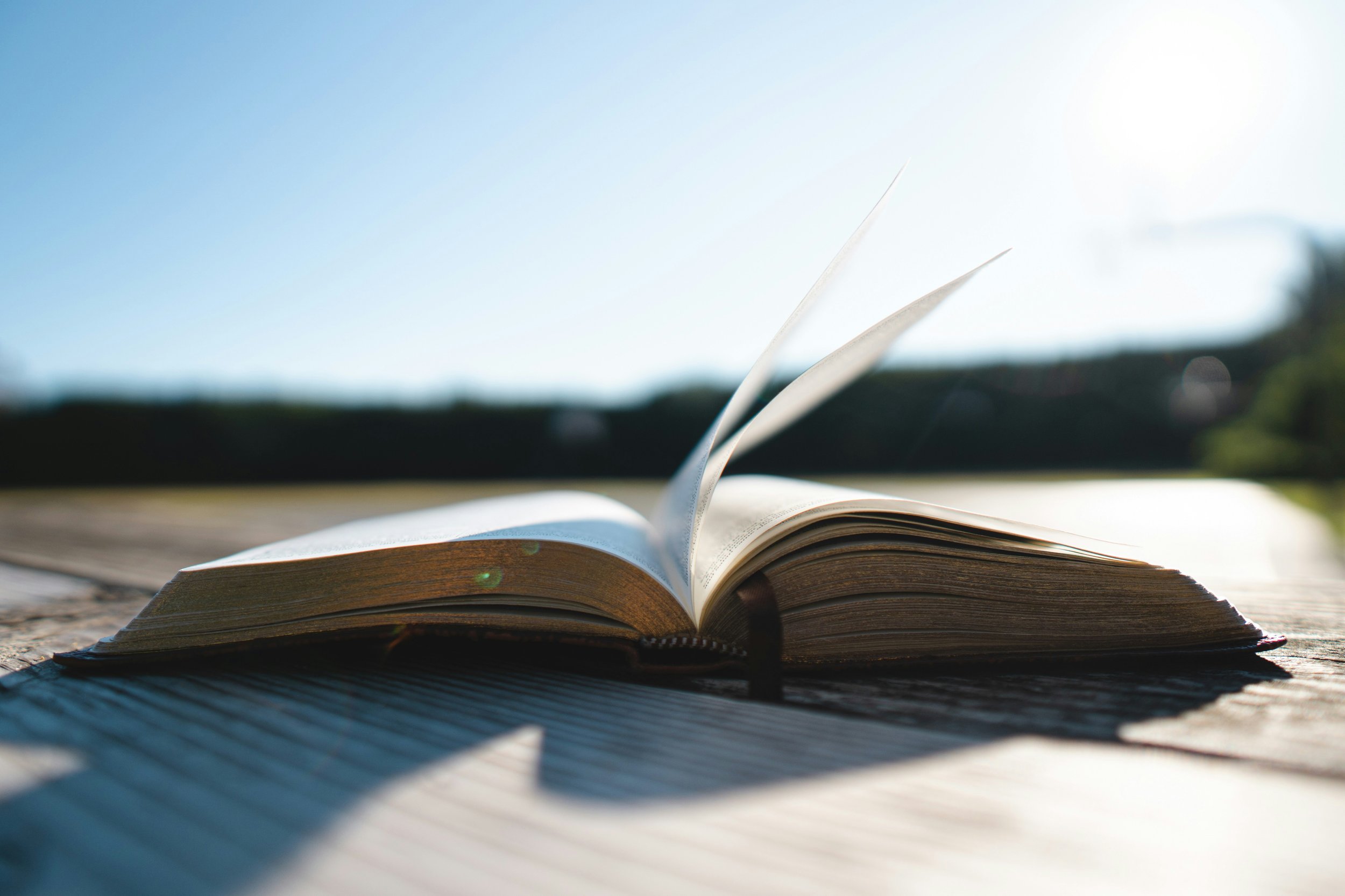 An open book with gilded pages sits open on a wooden table in the sunlight